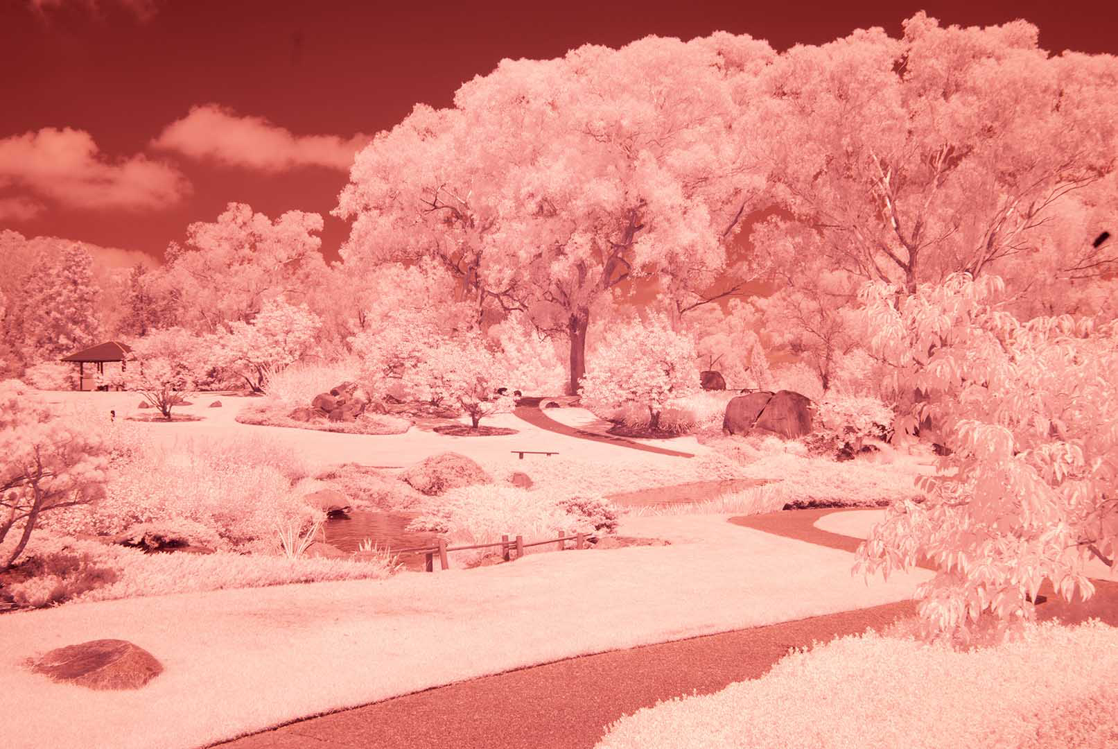 April 2026 - Ian Cambourne