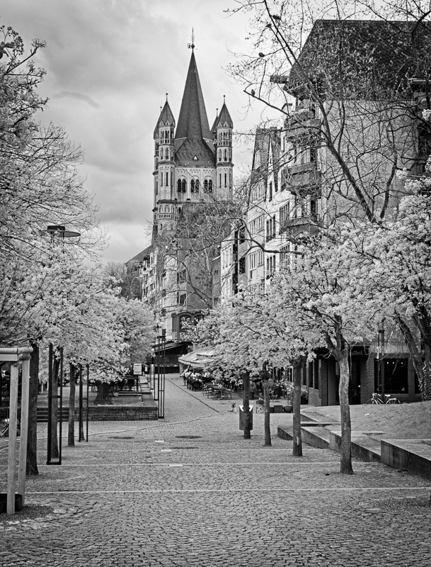 Great St. Martin Church, Cologne, Germany by Lauren Heerschap