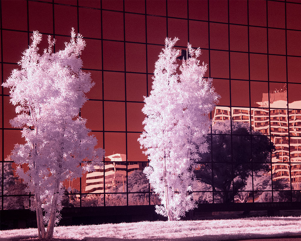 December 2025 - Stuart Bacon, QPSA