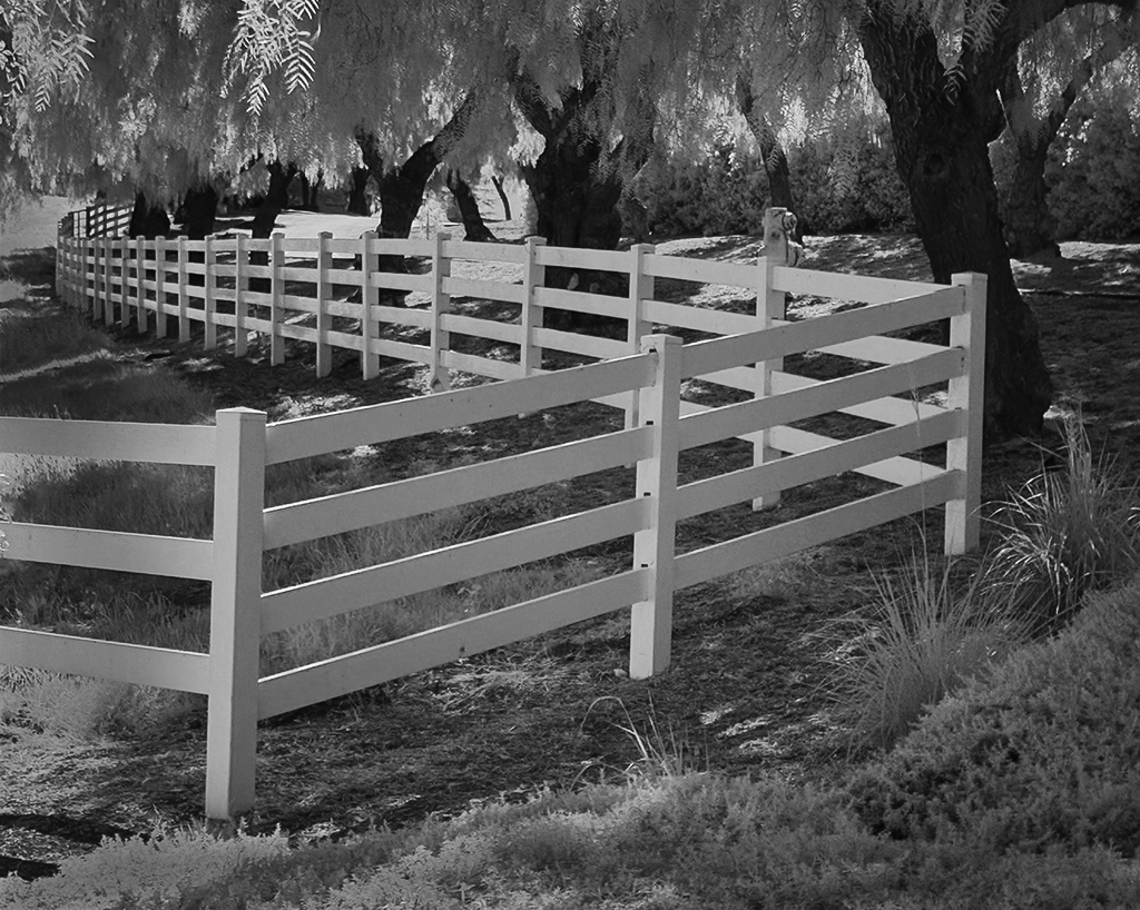 Long White Fence