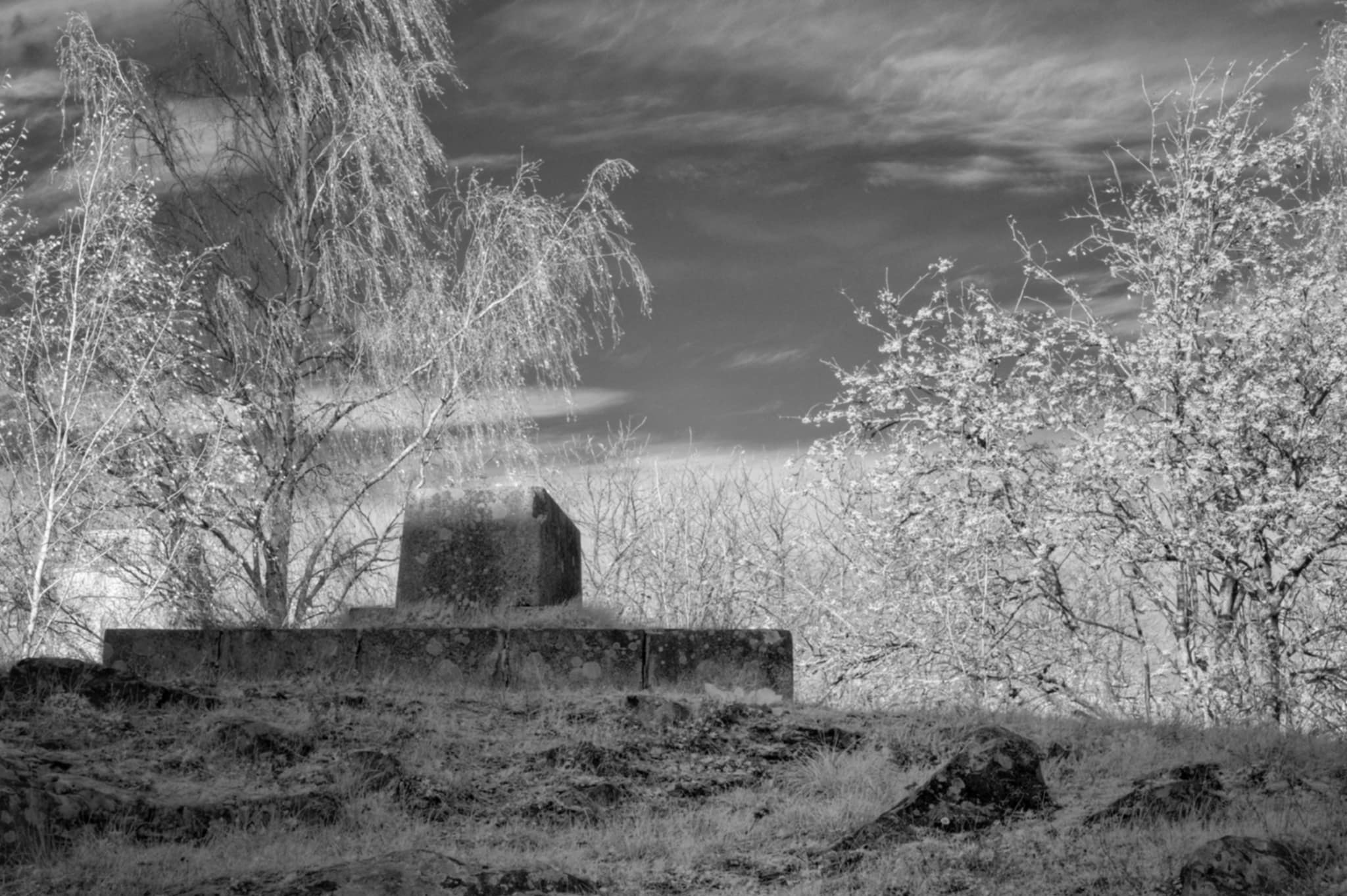  by Tatu Korhonen