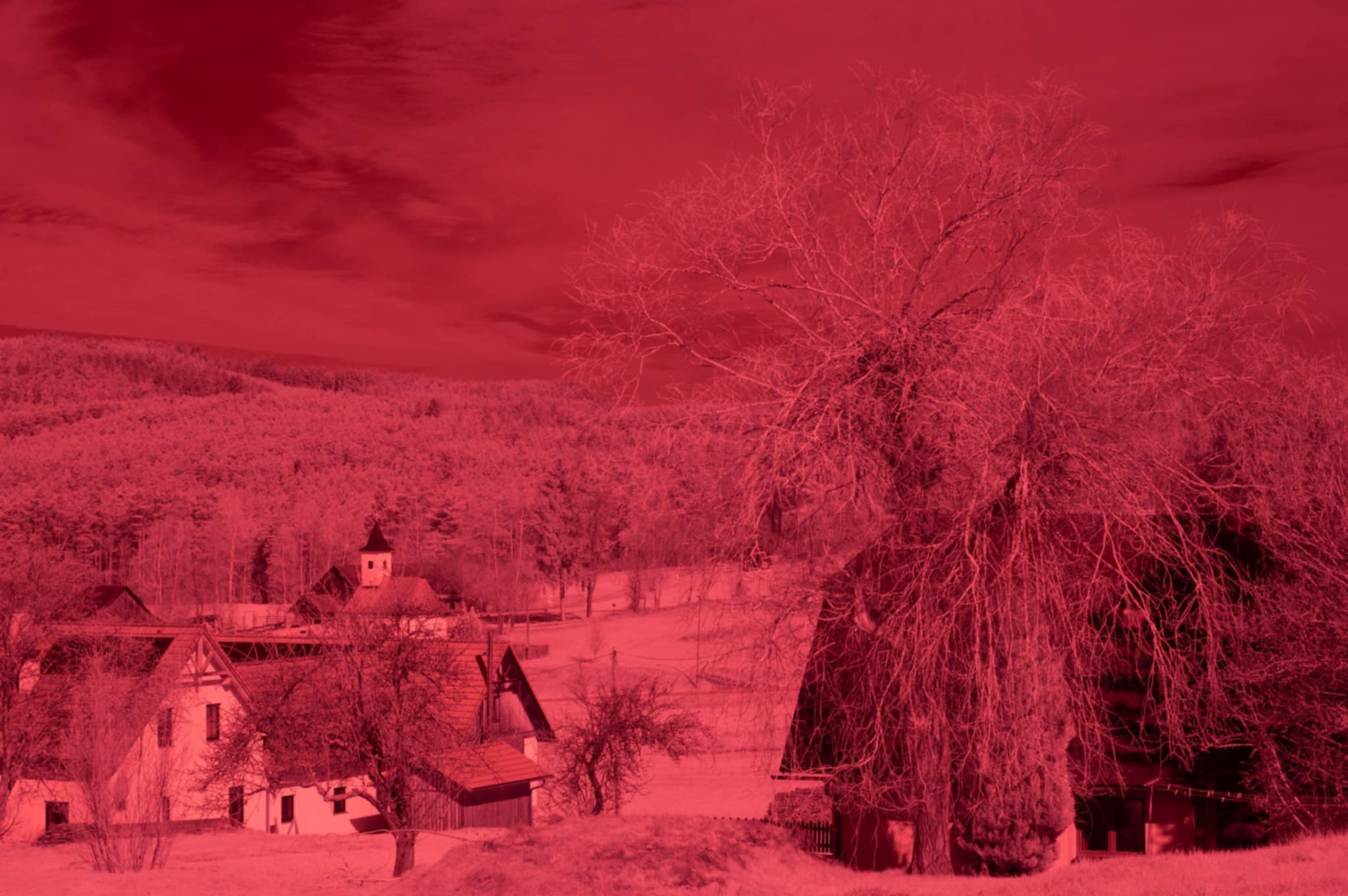 November 2025 - Tatu Korhonen