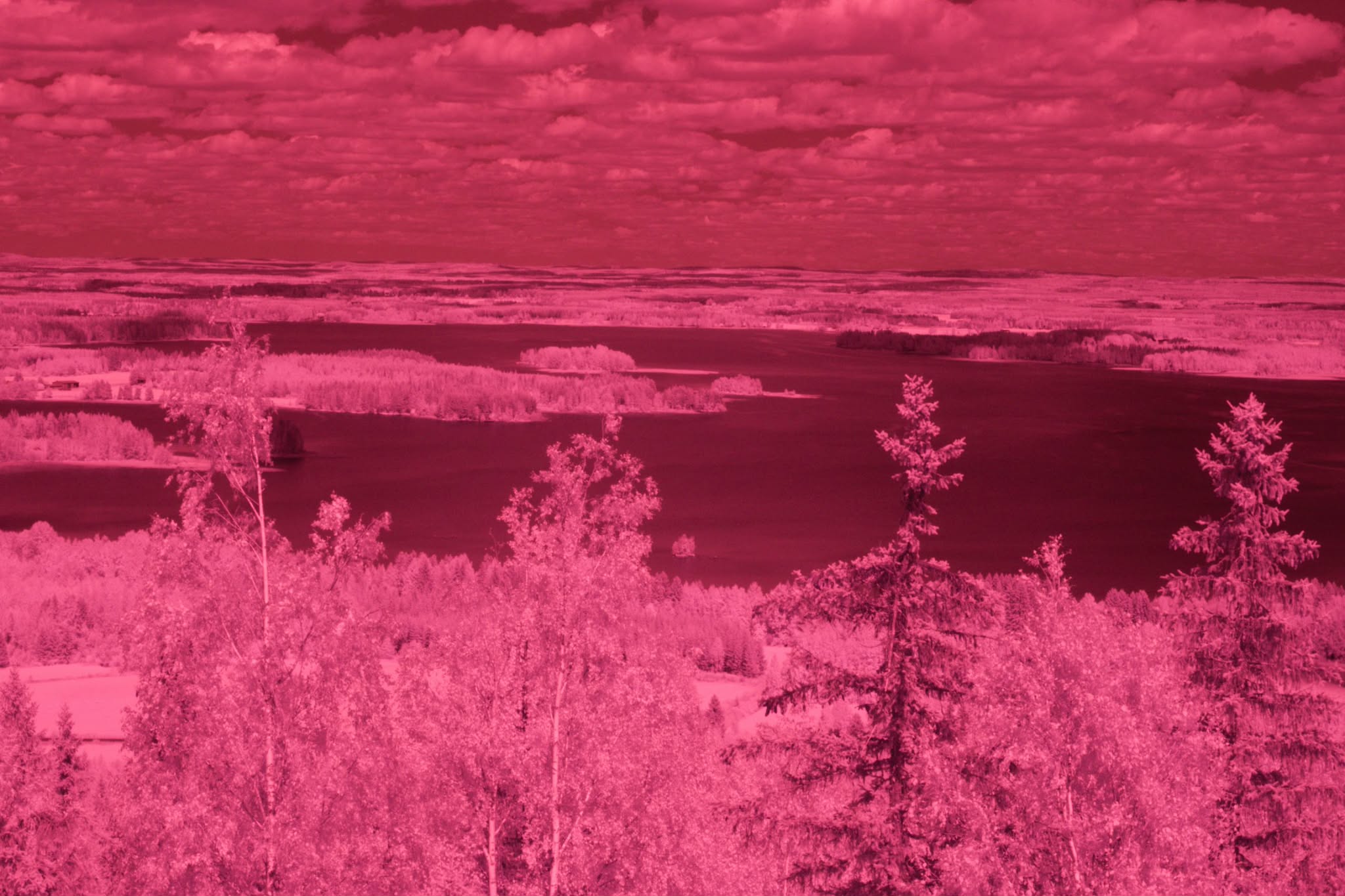 August 2026 - Tatu Korhonen