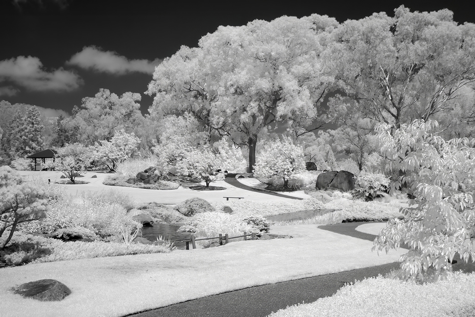 Japanese Gardens Cowra by Ian Cambourne
