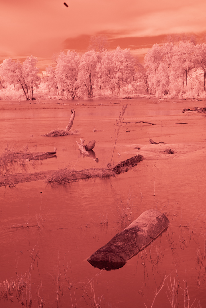 November 2025 - Ian Cambourne