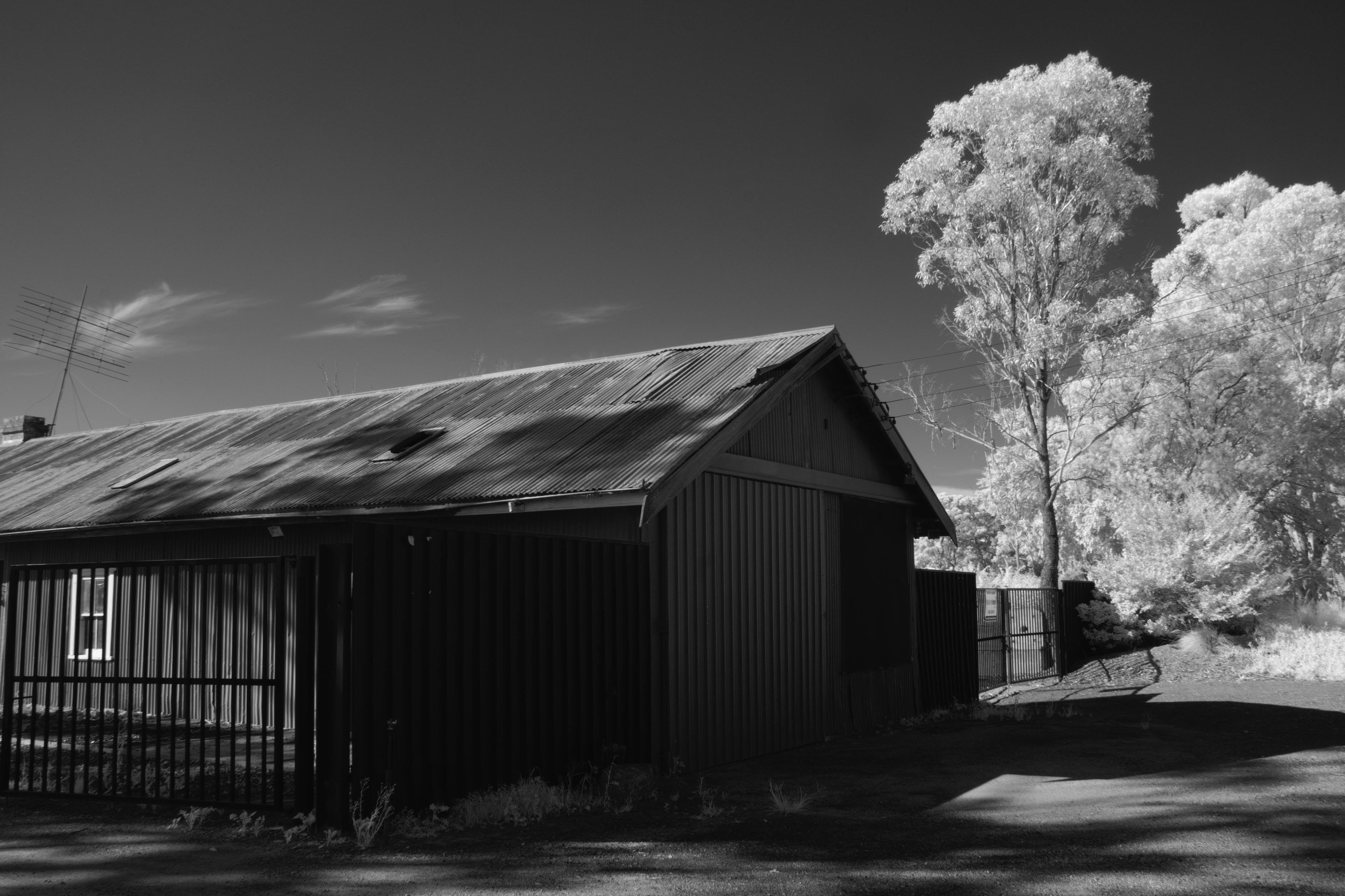 Pitt Town Shed by Ian Cambourne