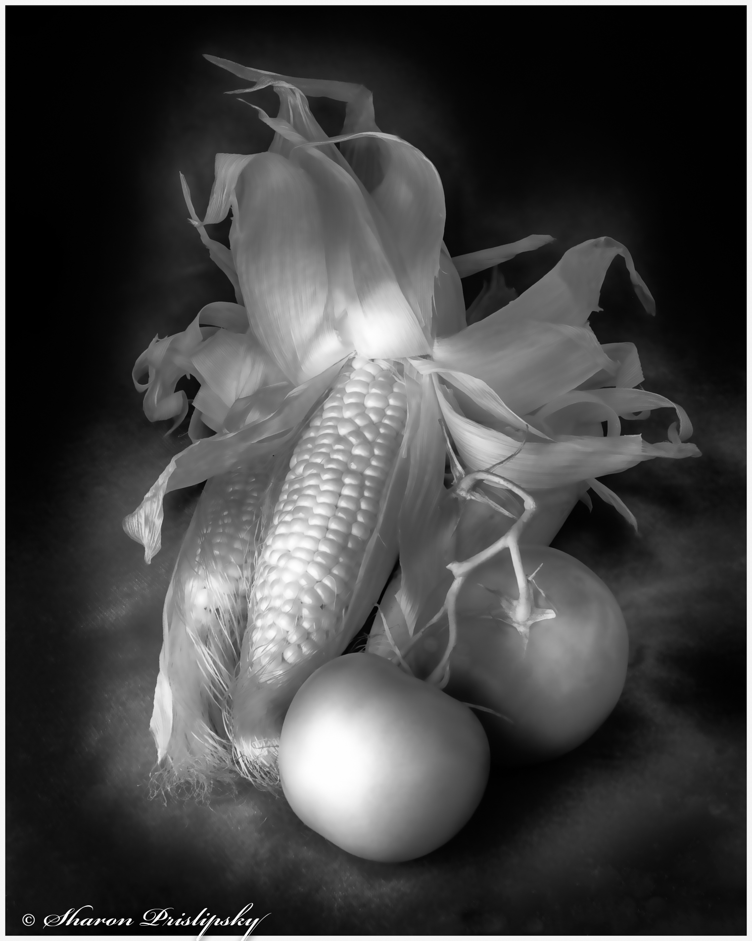 A Simple Harvest by Sharon Prislipsky, APSA, EPSA