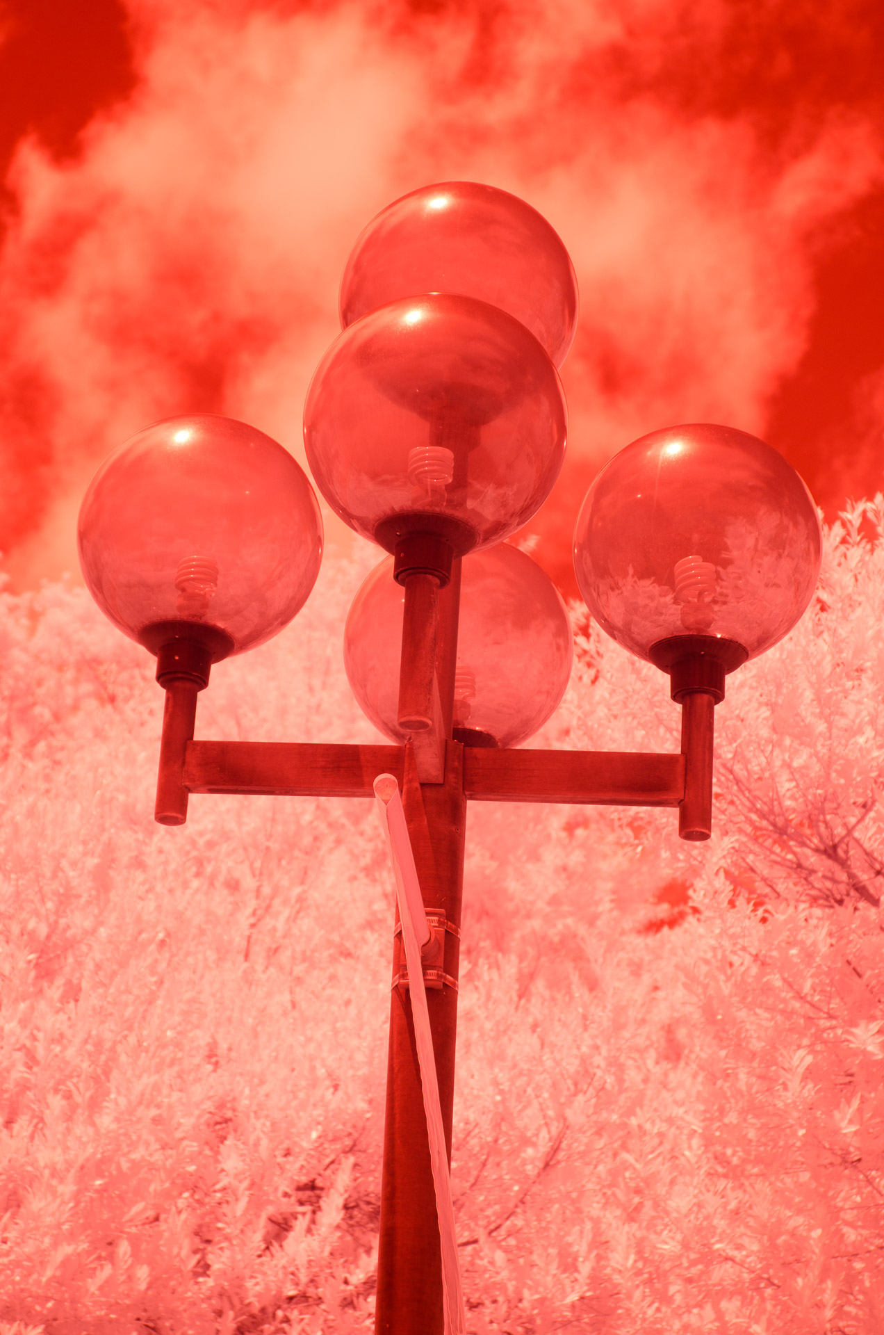 April 2026 - Nelson Charette