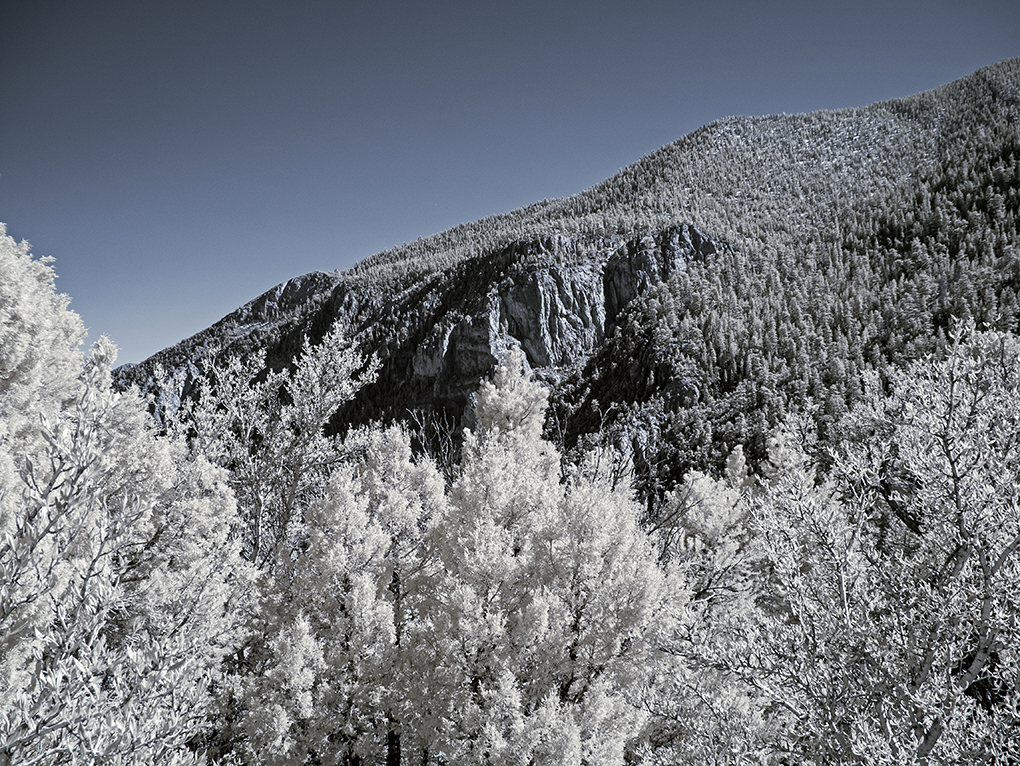 Spring Mountains: by Chuck Nauman