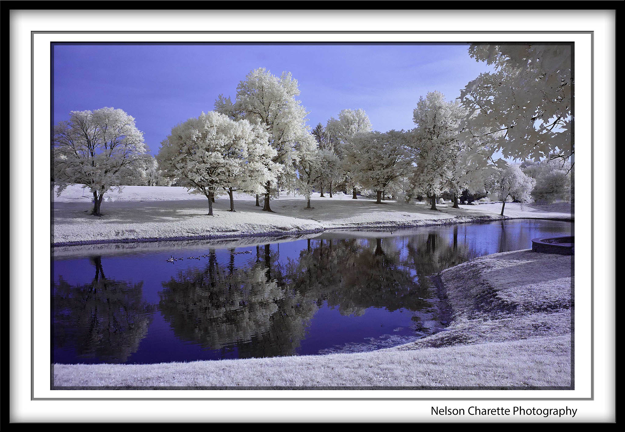 Thomas More Pond by Nelson Charette
