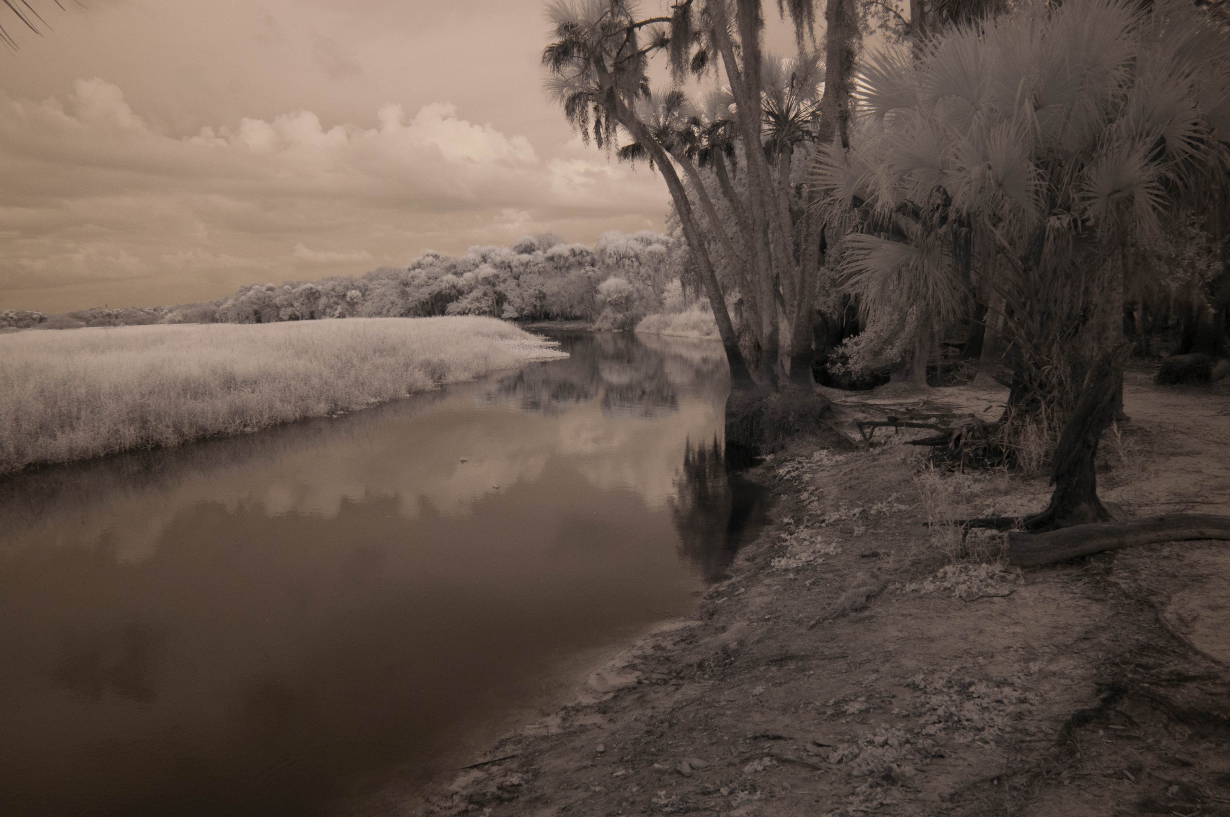 November 2025 - Debbie Rubin