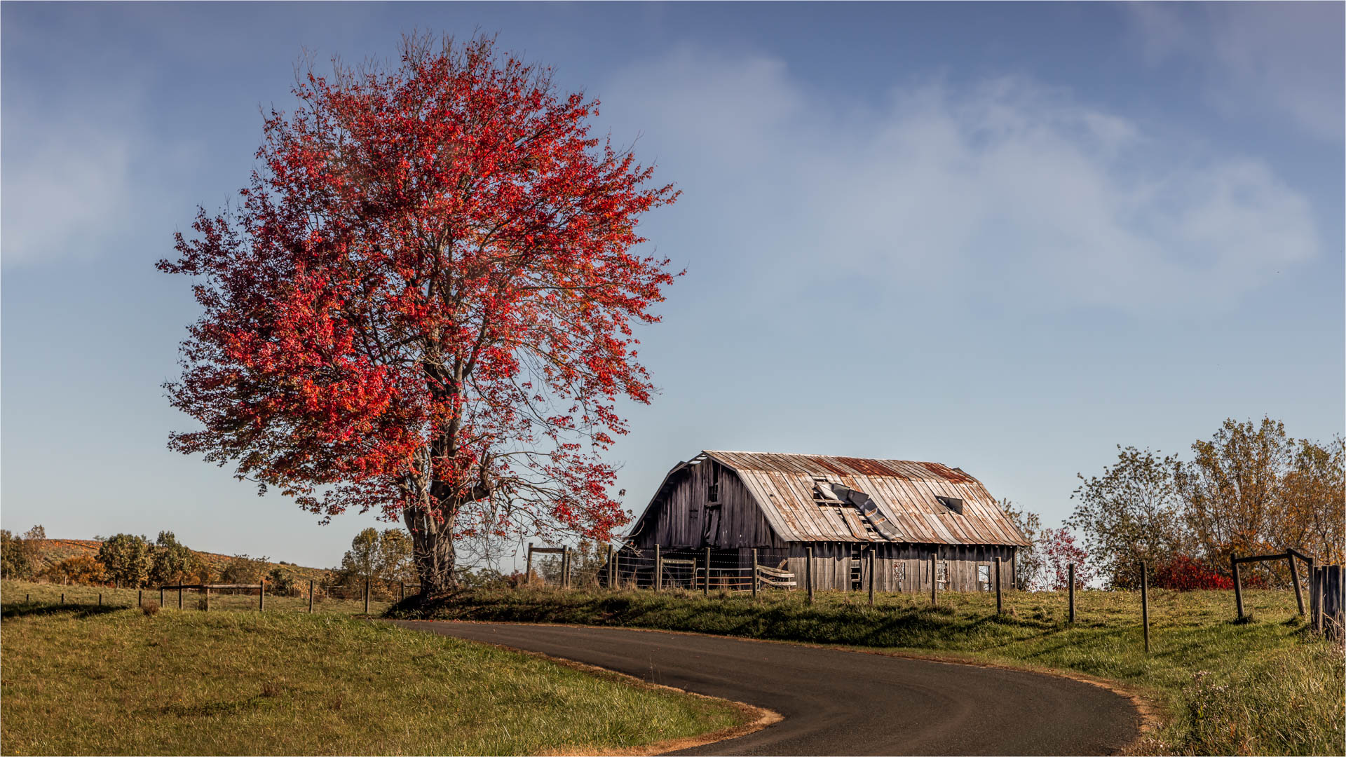 Autumn’s Scarlet Turn by Barbara Gore