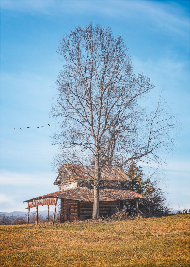 Forgotten Farmstead by Barbara Gore