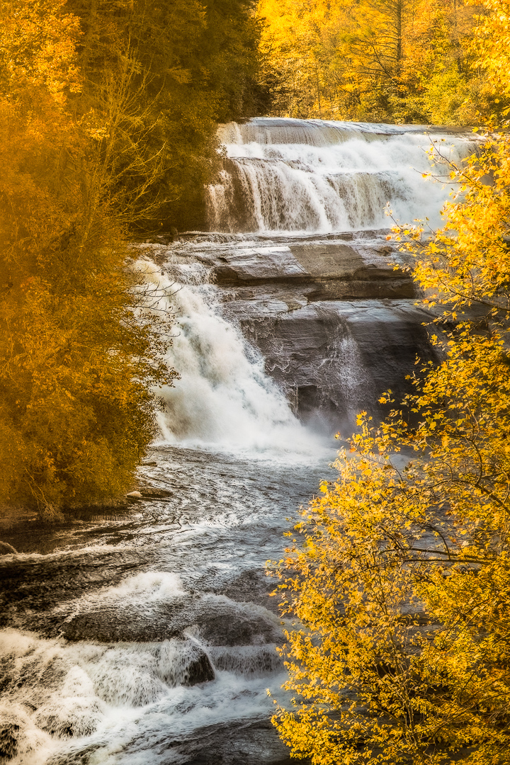 Golden Cascade by Barbara Gore