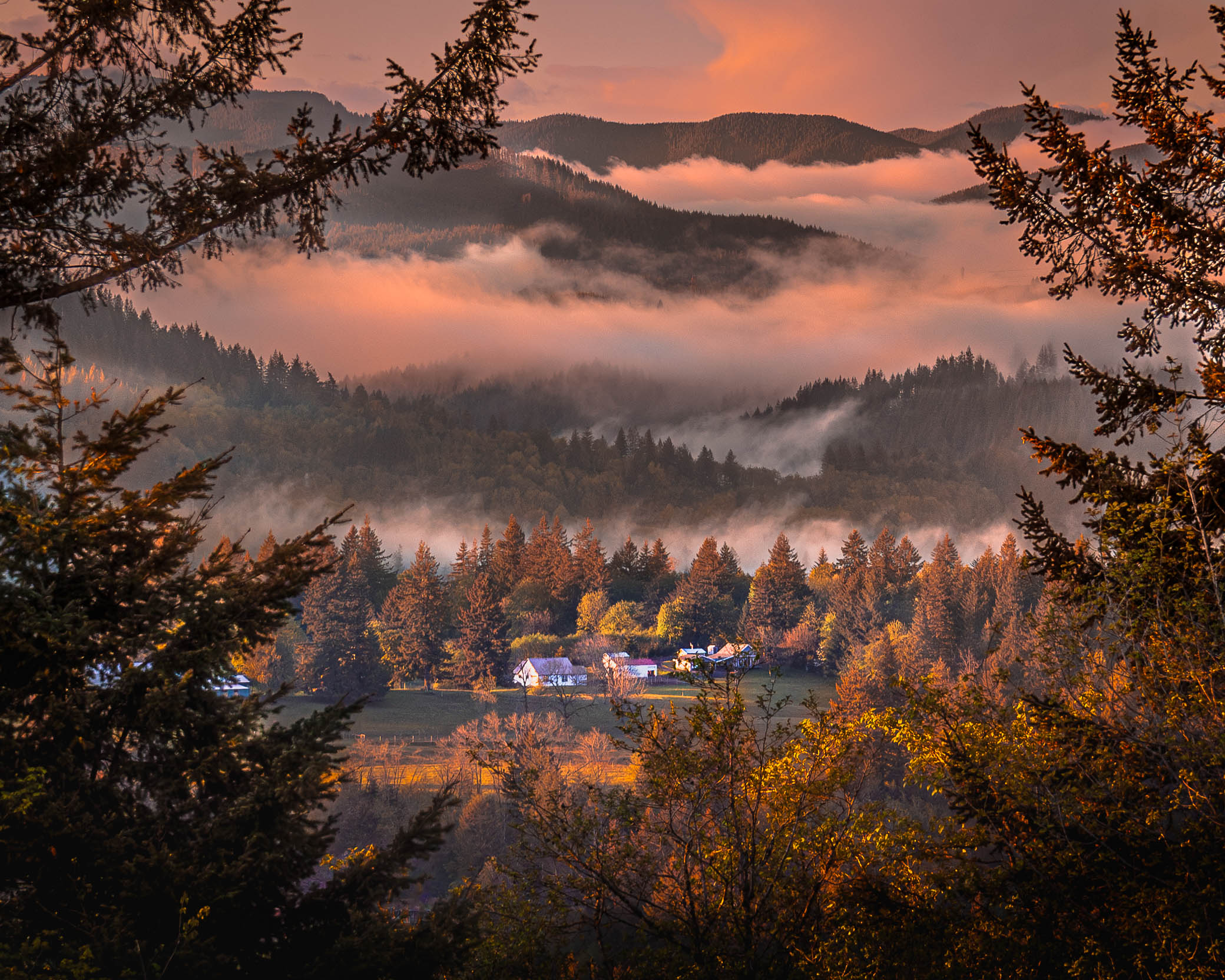 Diane Ferdig Group 36 PSA Digital Dialogue