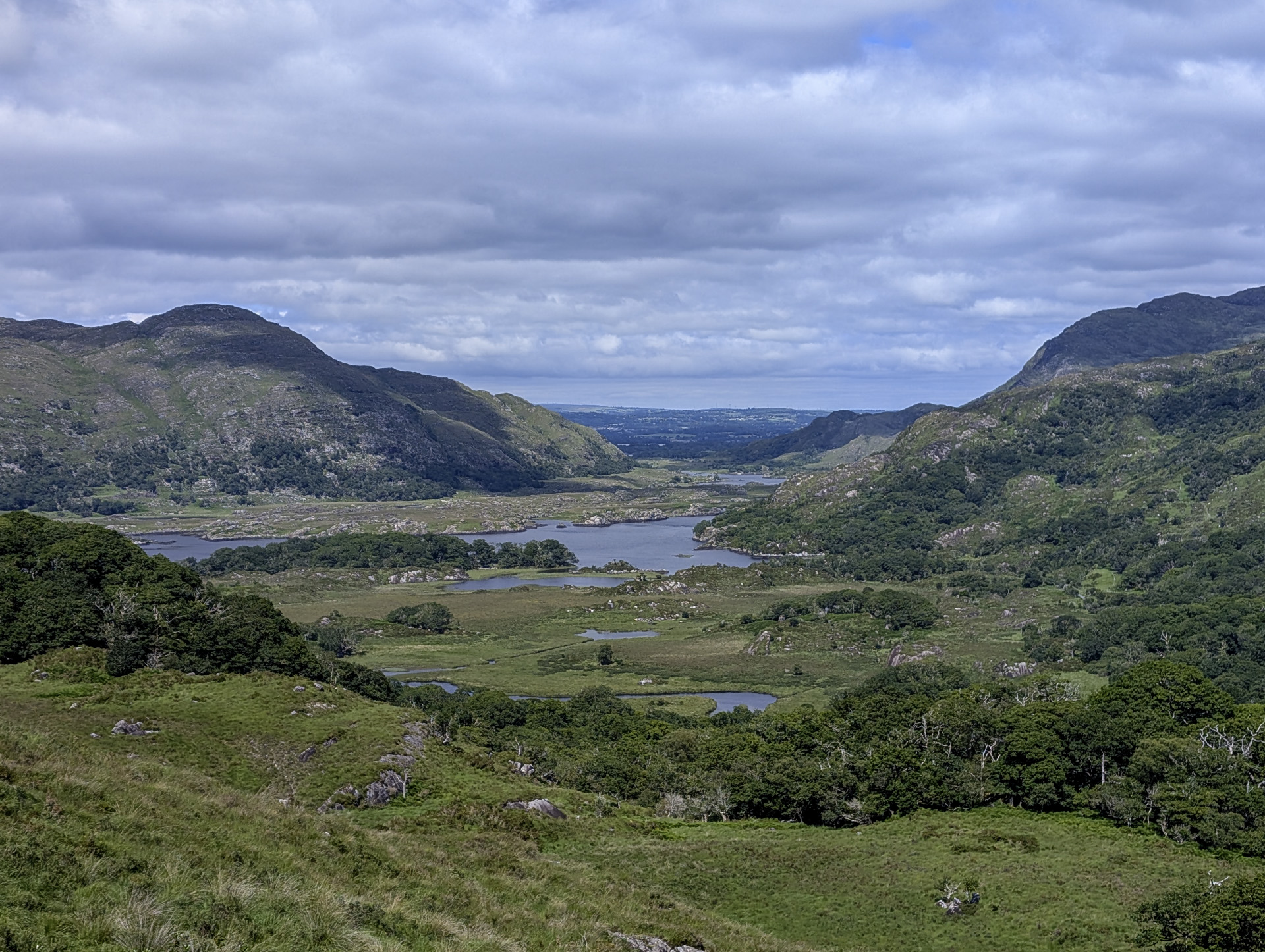 November 2025 - Bill Peake