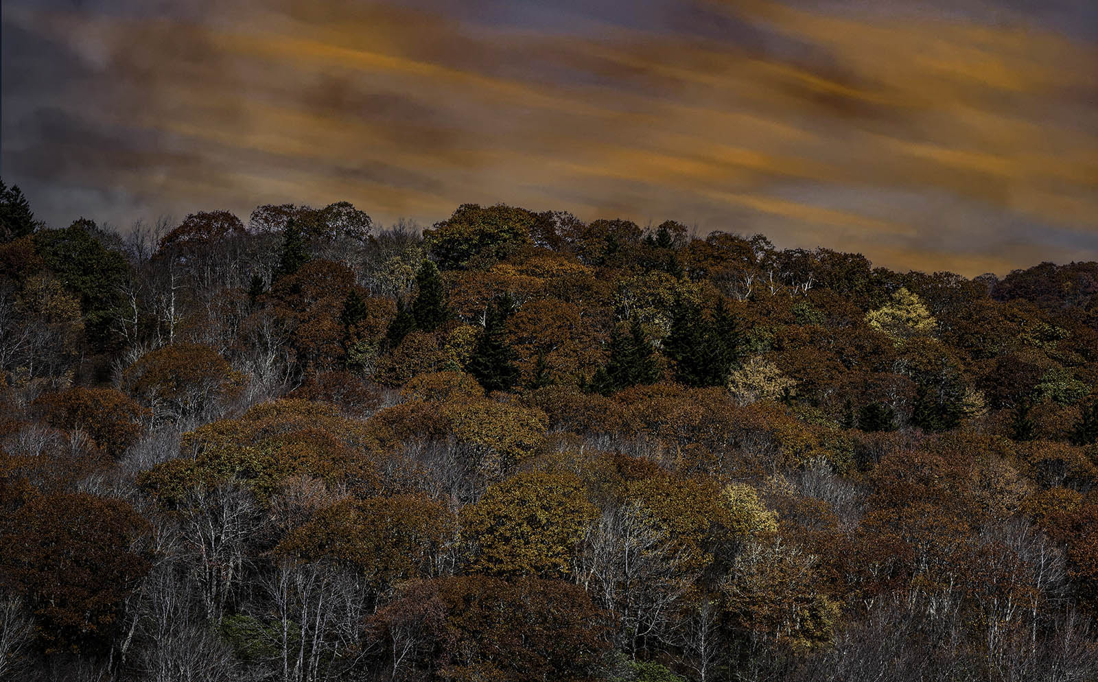 Autumn Rust by Larry Treadwell