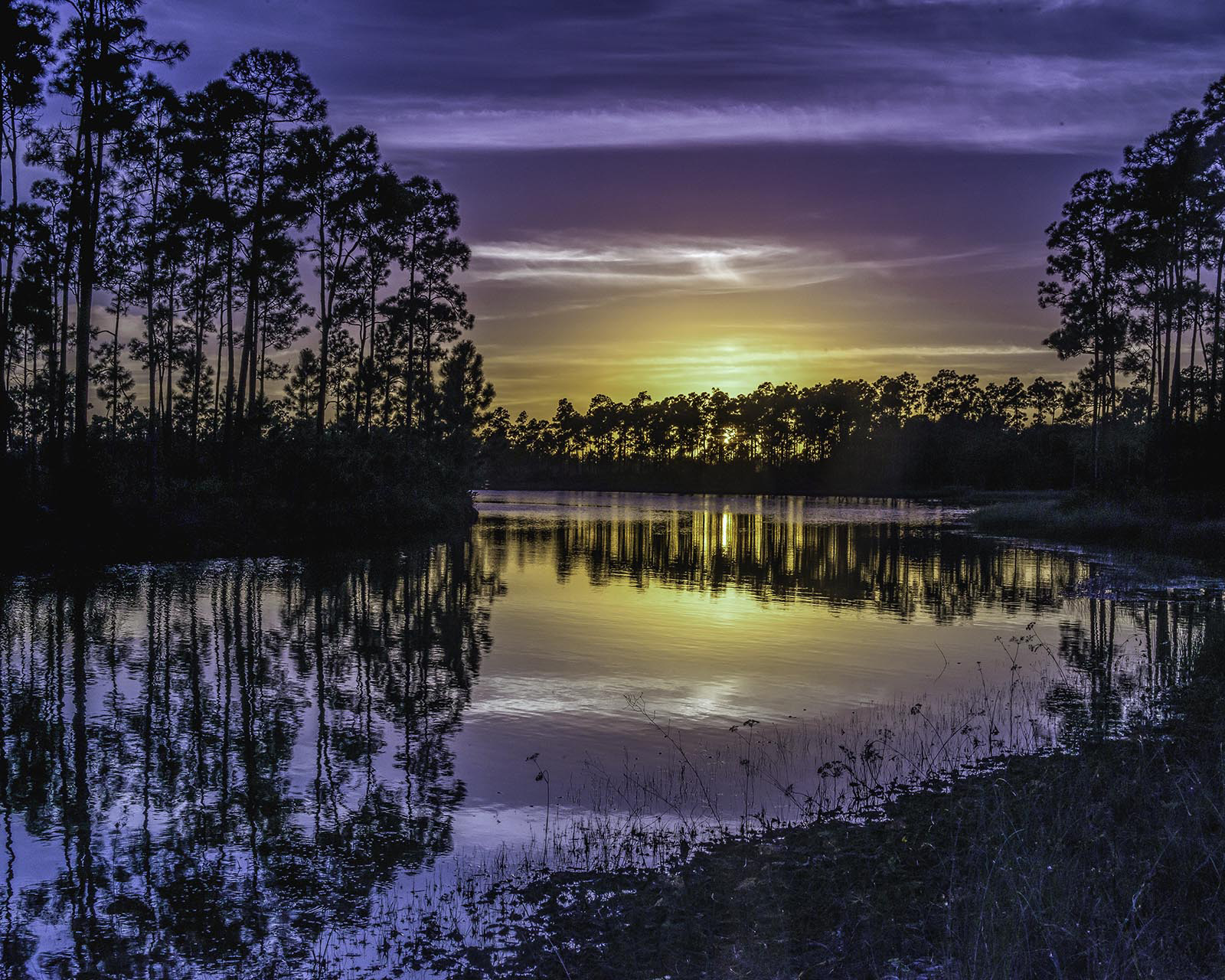 A Royal Sunset by Larry Treadwell