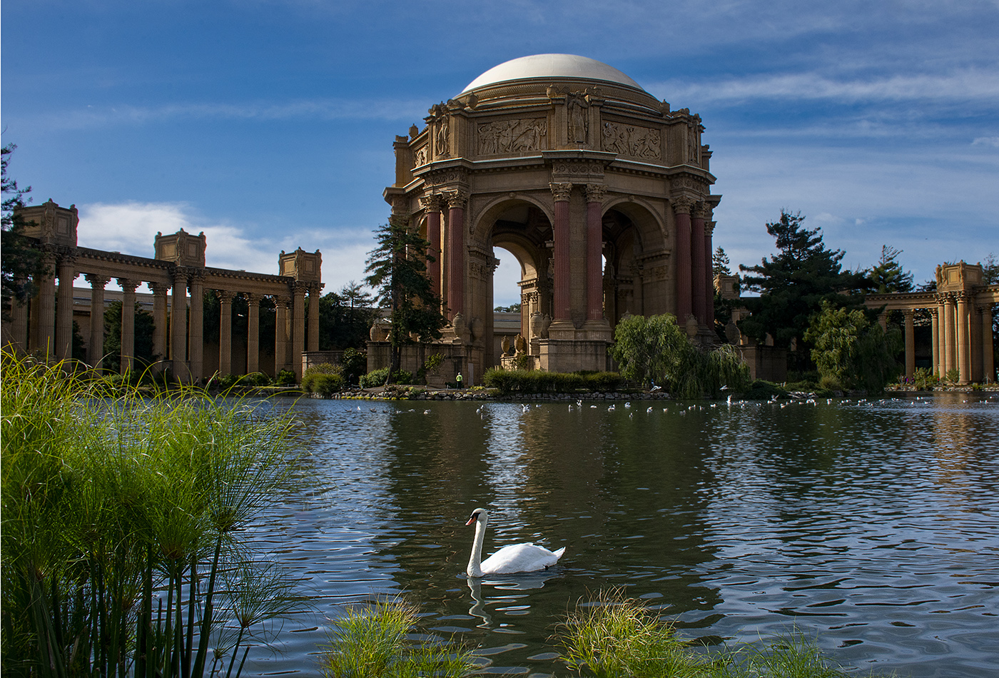 Palace of the Fine Arts by Bill Peake