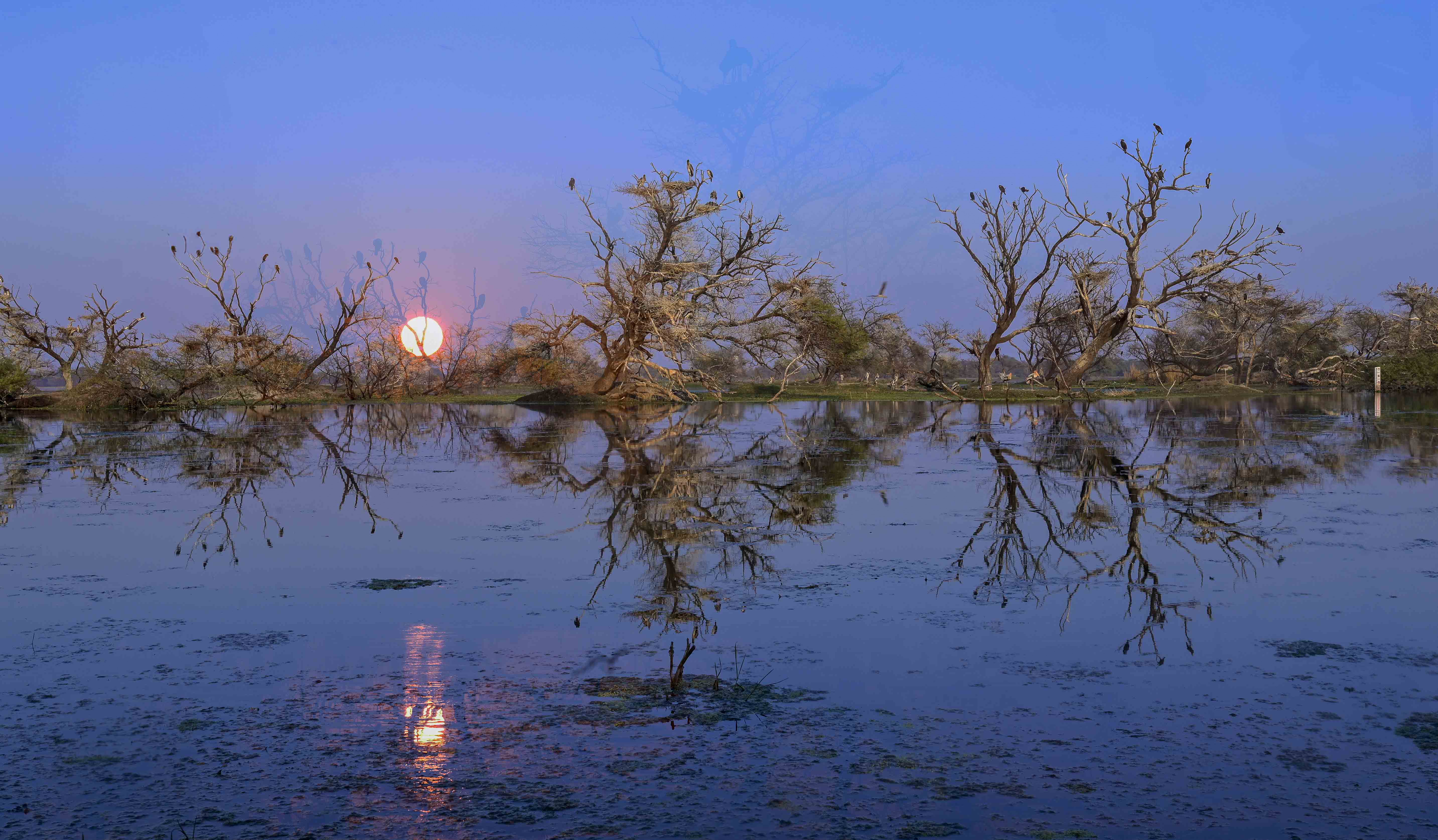 Reflection by Gokulananda Nandan