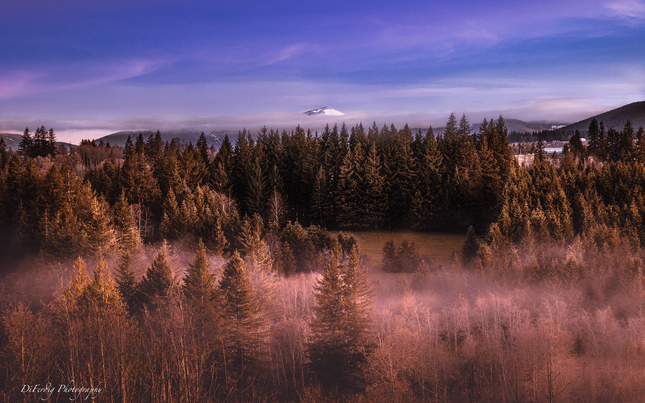 Spring Morning with Silver Star Mountain by Diane Ferdig
