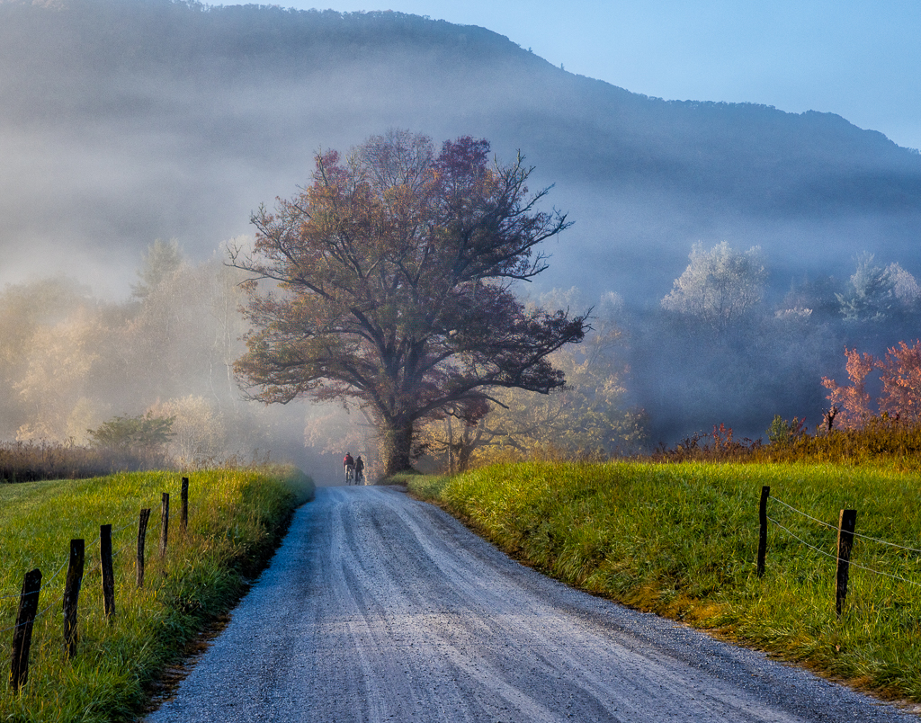 Sparks Lane by Michael Jack