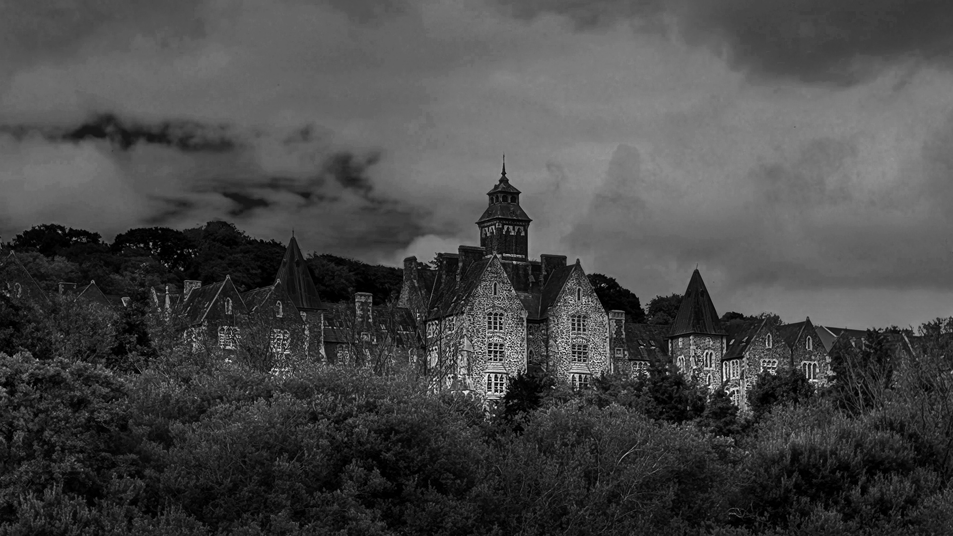 Eglinton Lunatic Asylum by Bill Peake