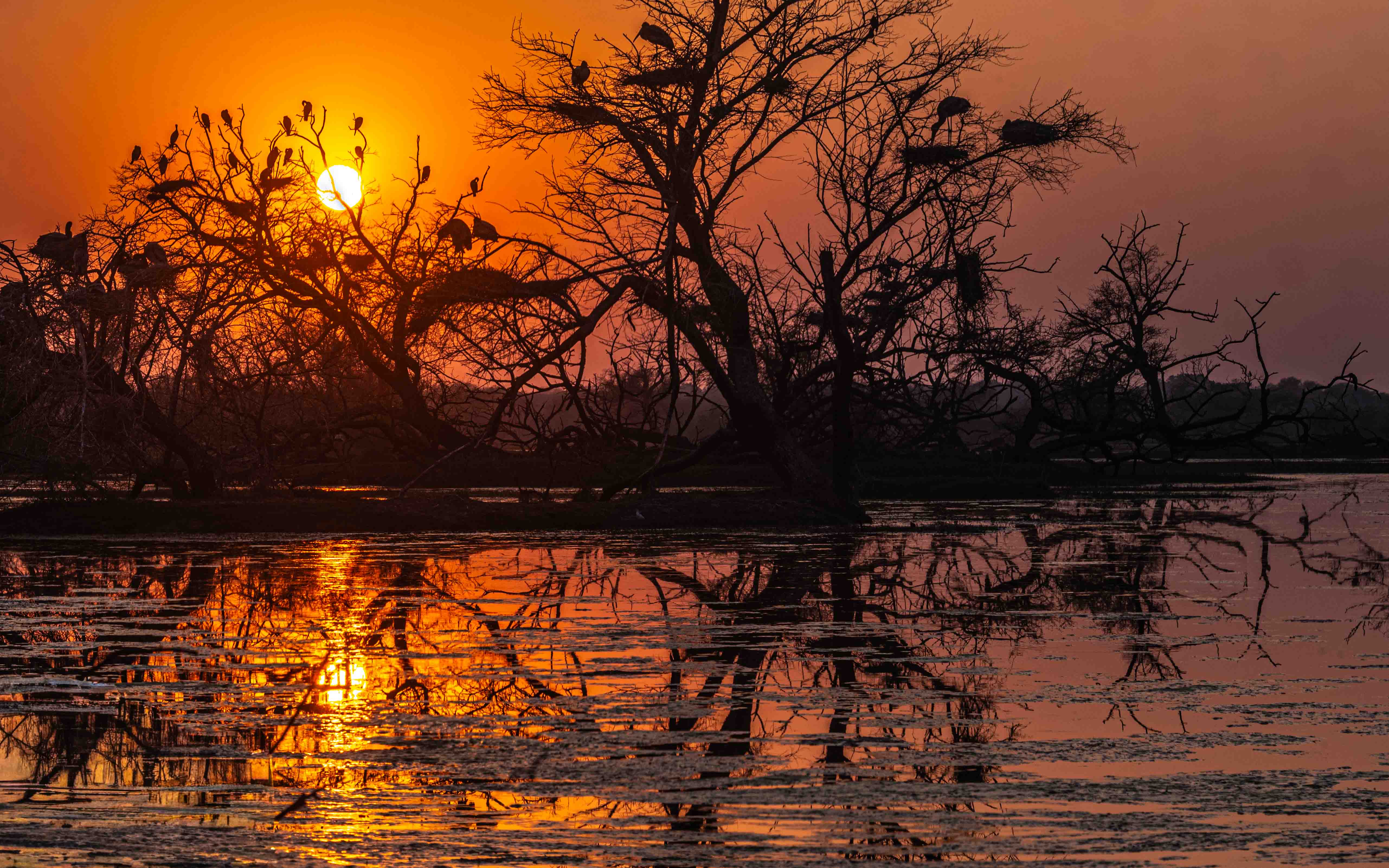 Sunset by Gokulananda Nandan