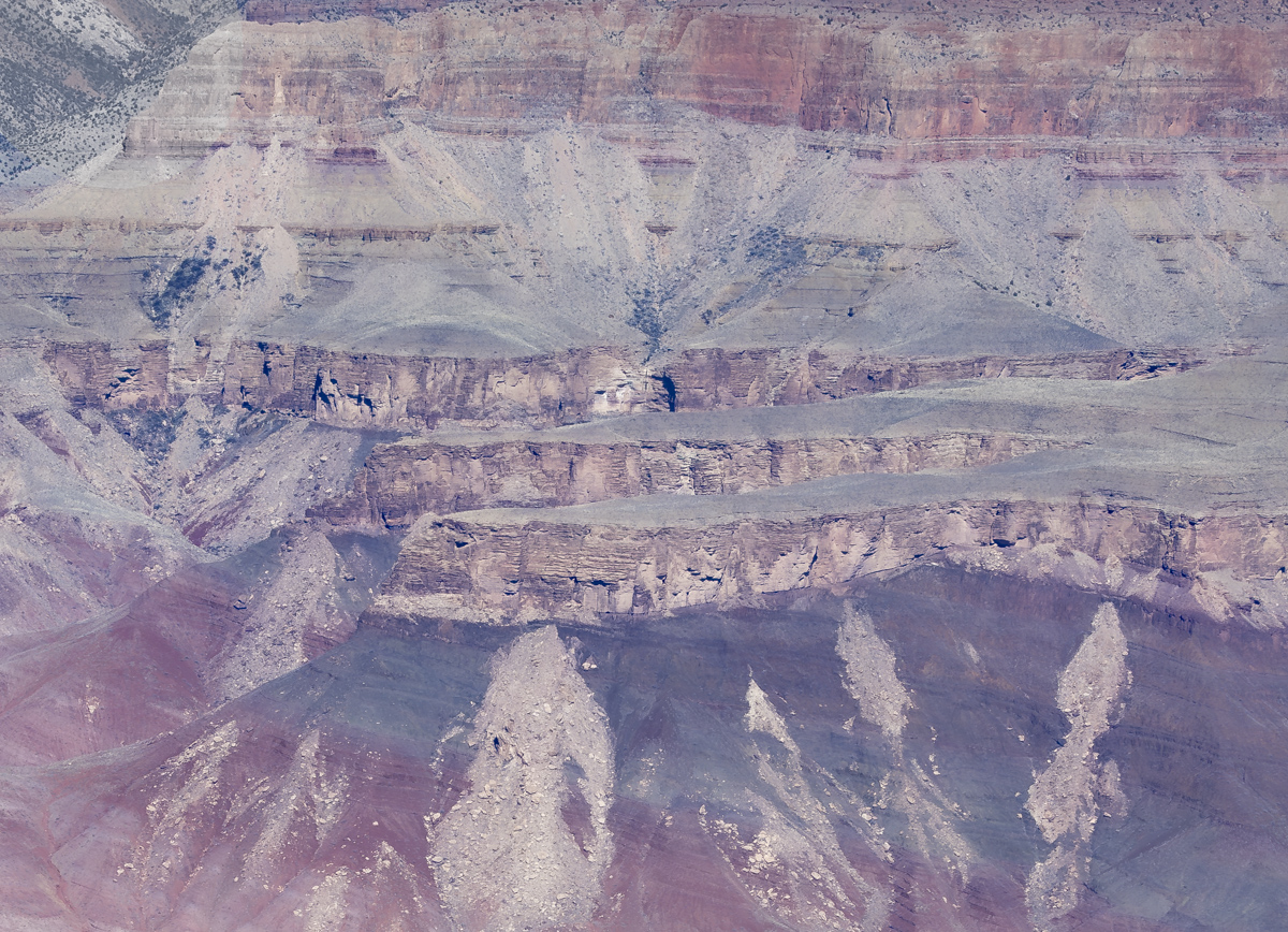 Finger Painting by Tracy Kaminer