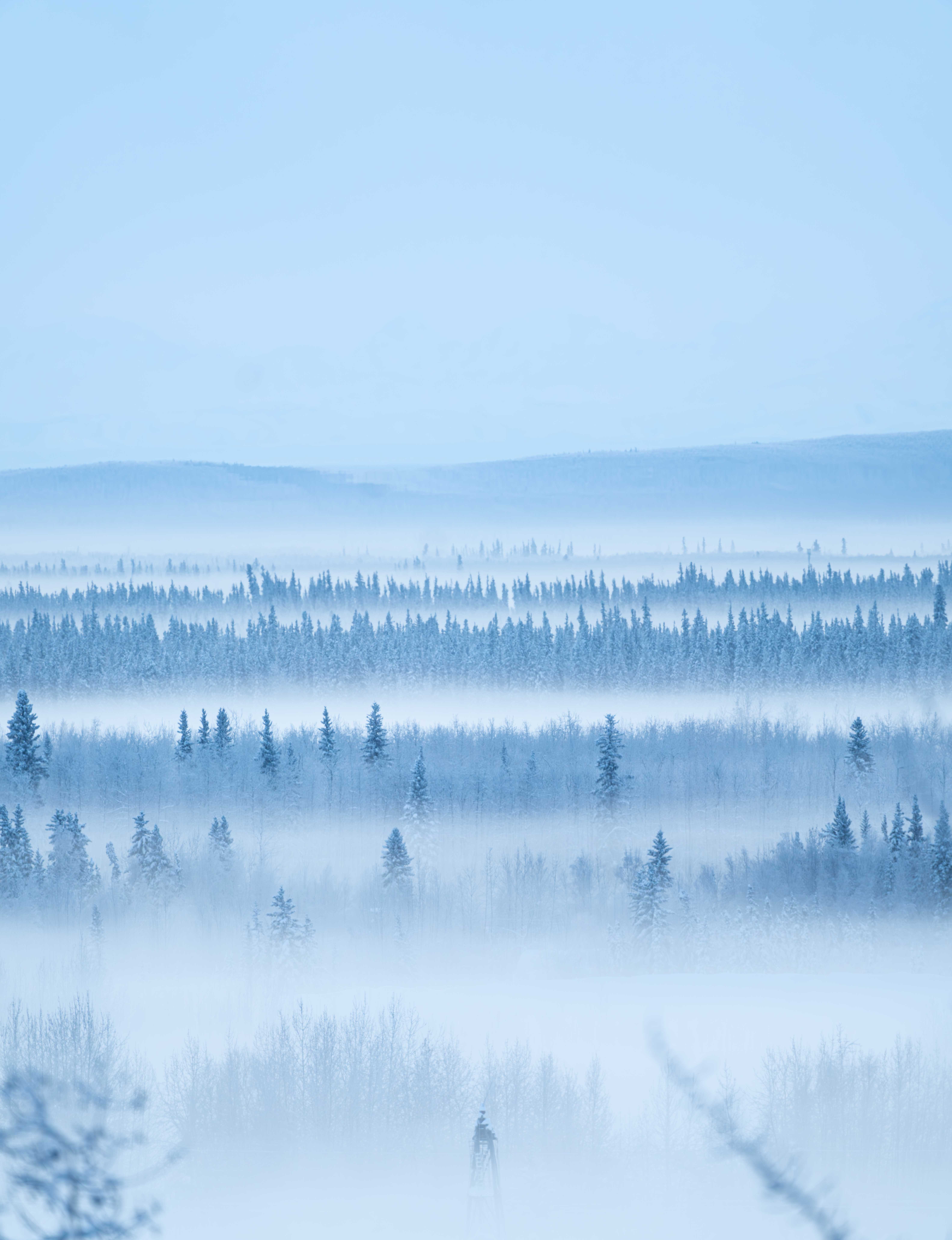 A WHITE MORNING - ALASKA (December 2025)
