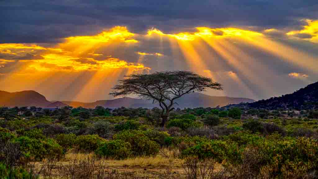 Samburu Sundown by Howard Frank