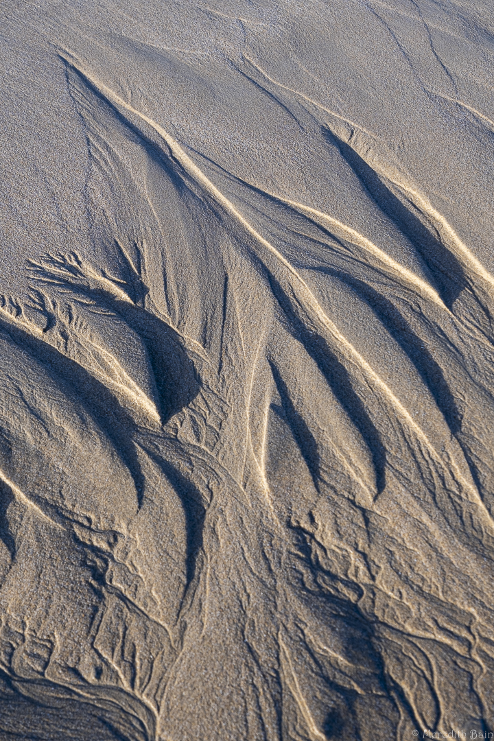 Sand Patterns by Meredith Bain