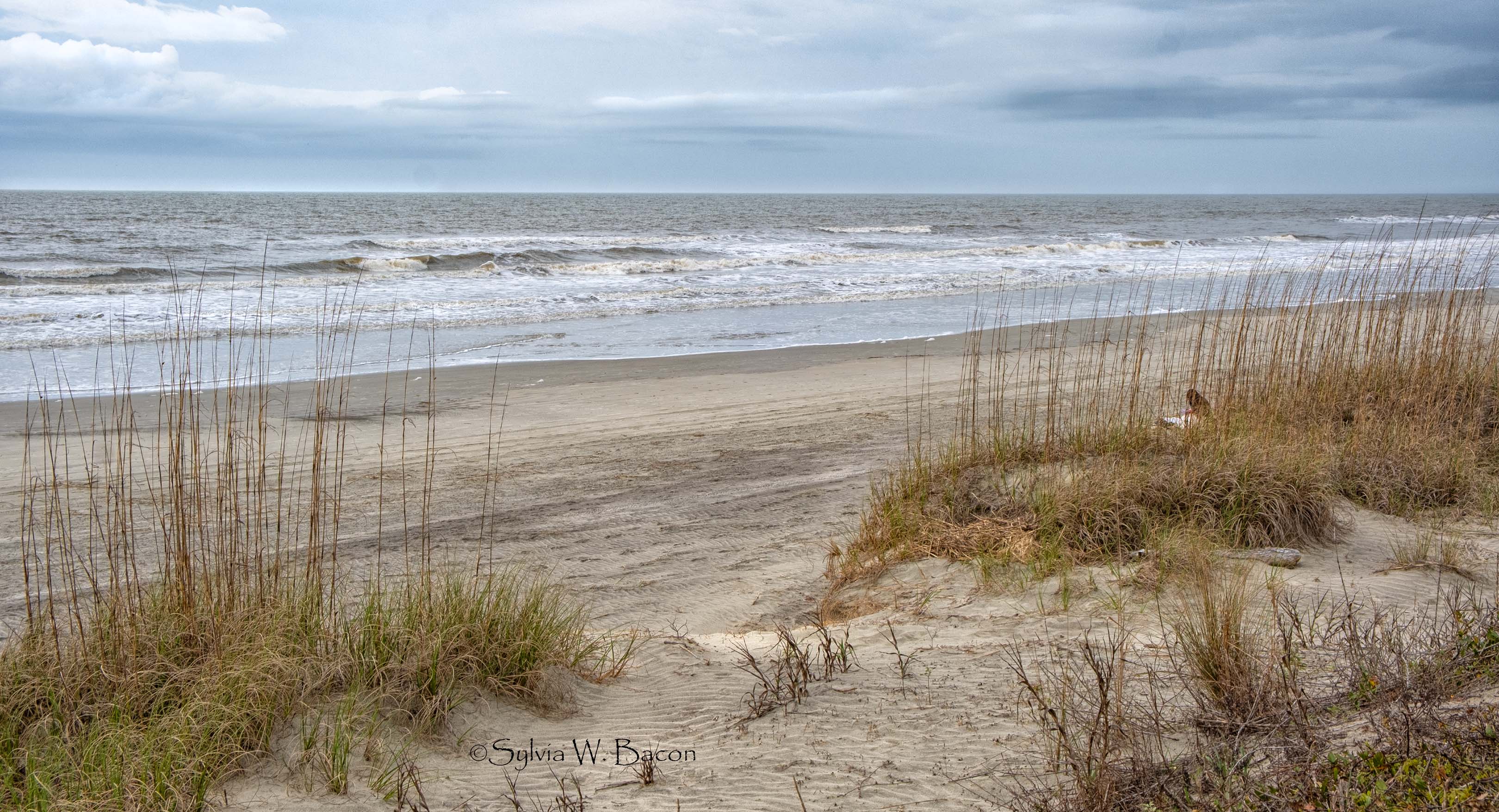 Quiet Time by Sylvia Bacon