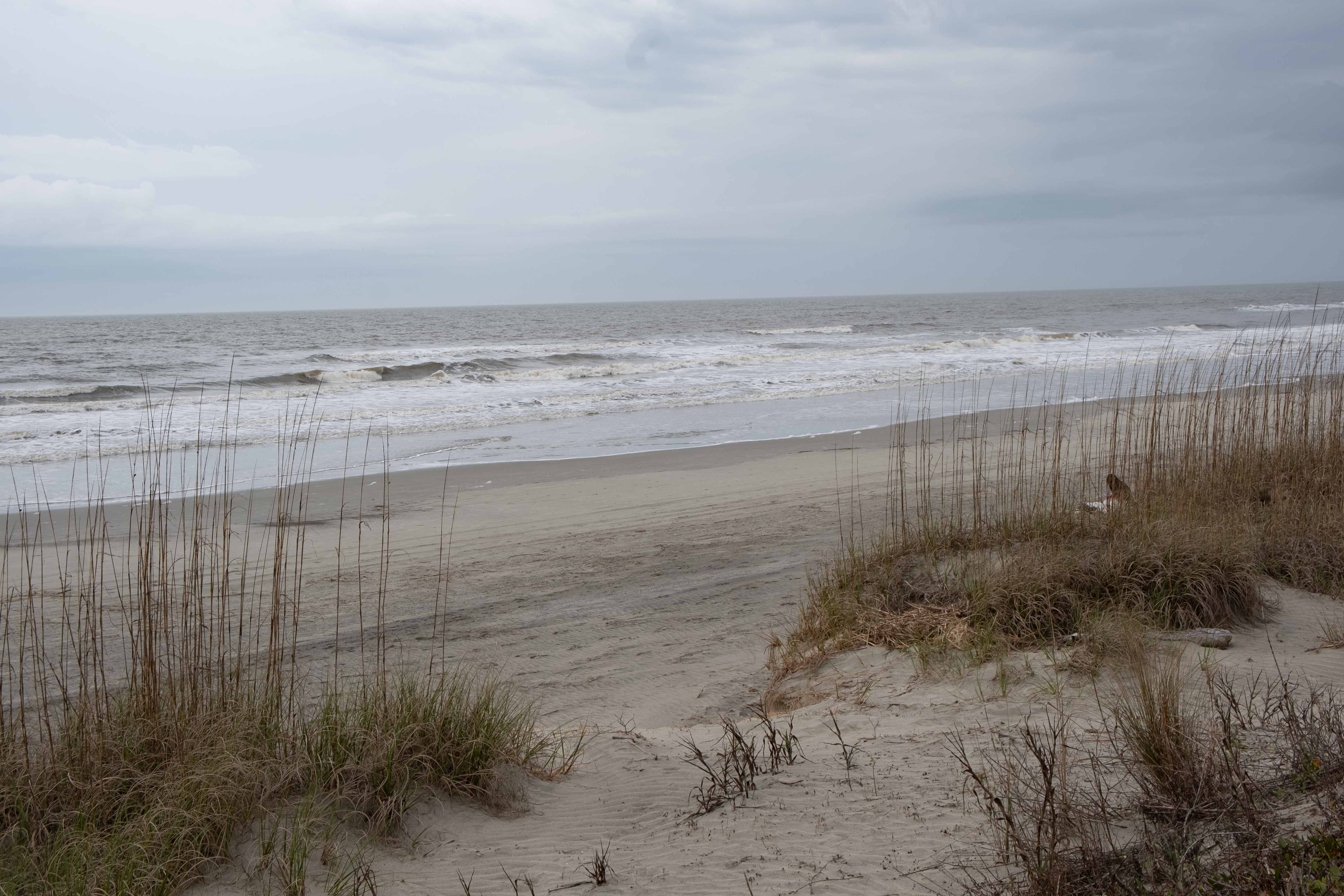 November 2025 - Sylvia Bacon