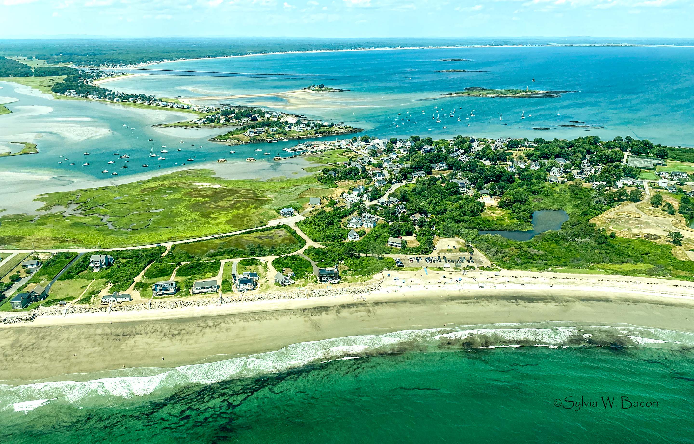Maine Coastline by Sylvia Bacon