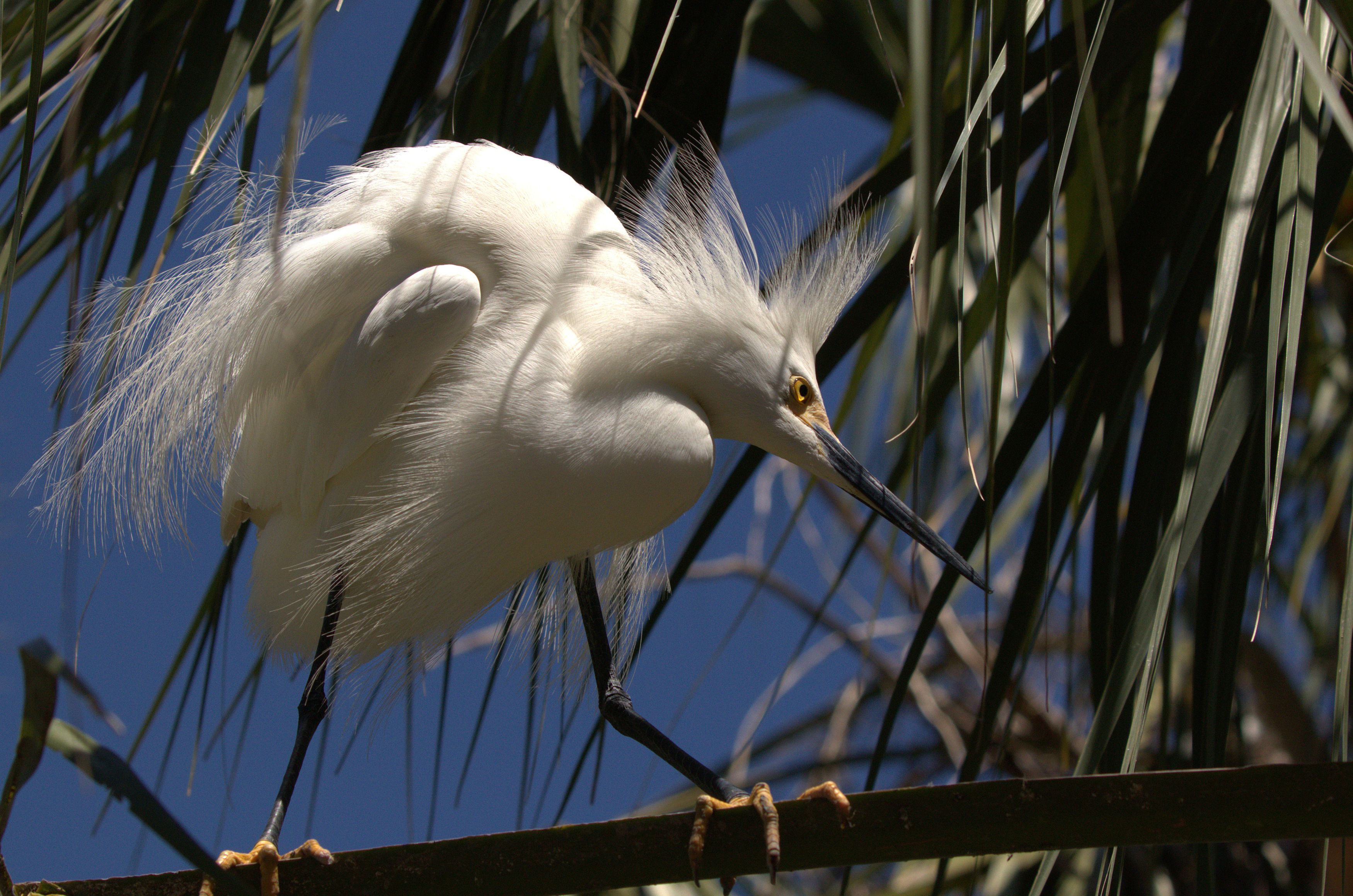 Sneaking Around by Marge Barham