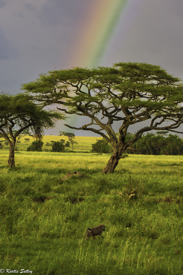 Morning Rainbow by Kurtis Sutley