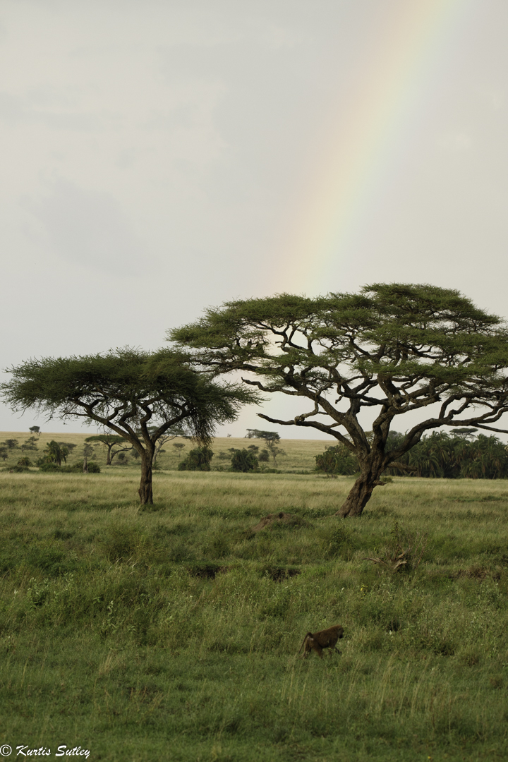 December 2025 - Kurtis Sutley