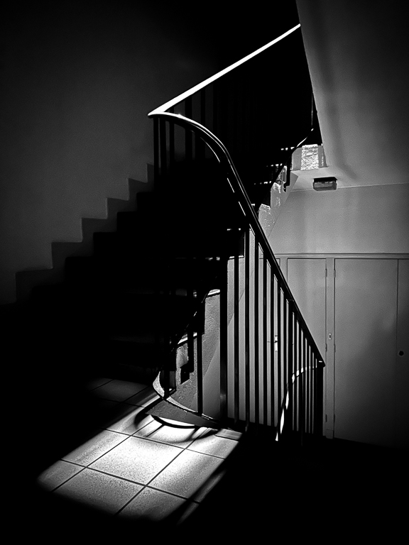  “VISION in B&W” by Regine Guillemin