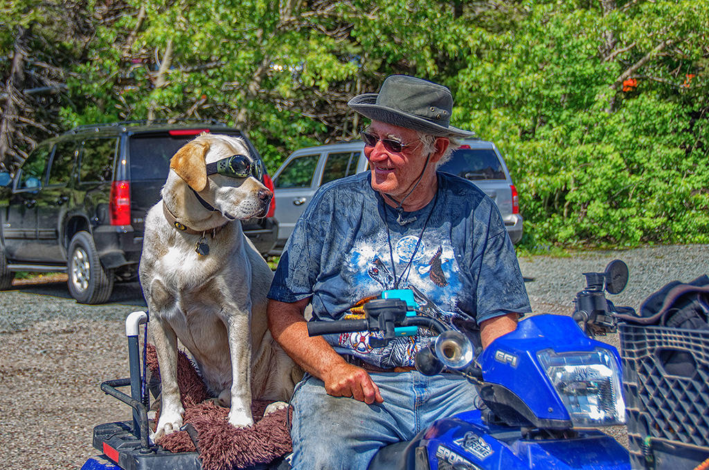 Consulting the Copilot