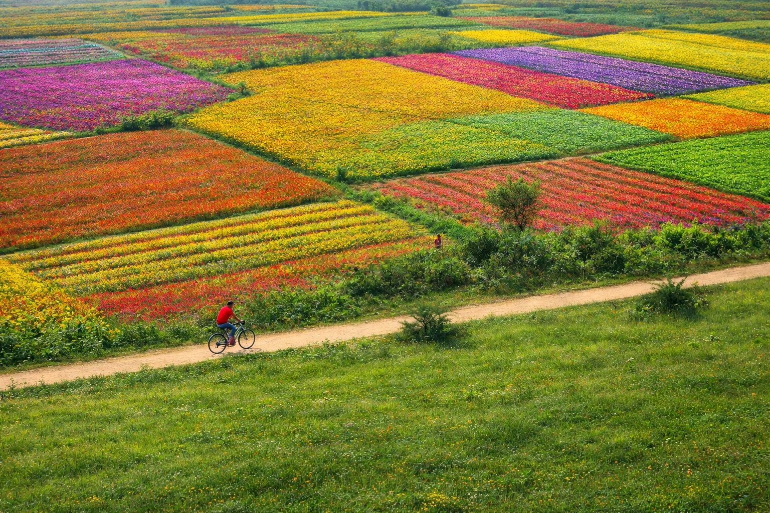 Cyclist on a rural road by Sunandan Ghosh
