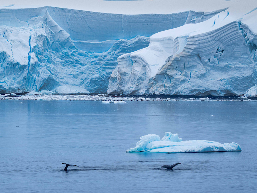 April 2026 - Adrian Binney, EPSA, LRPS