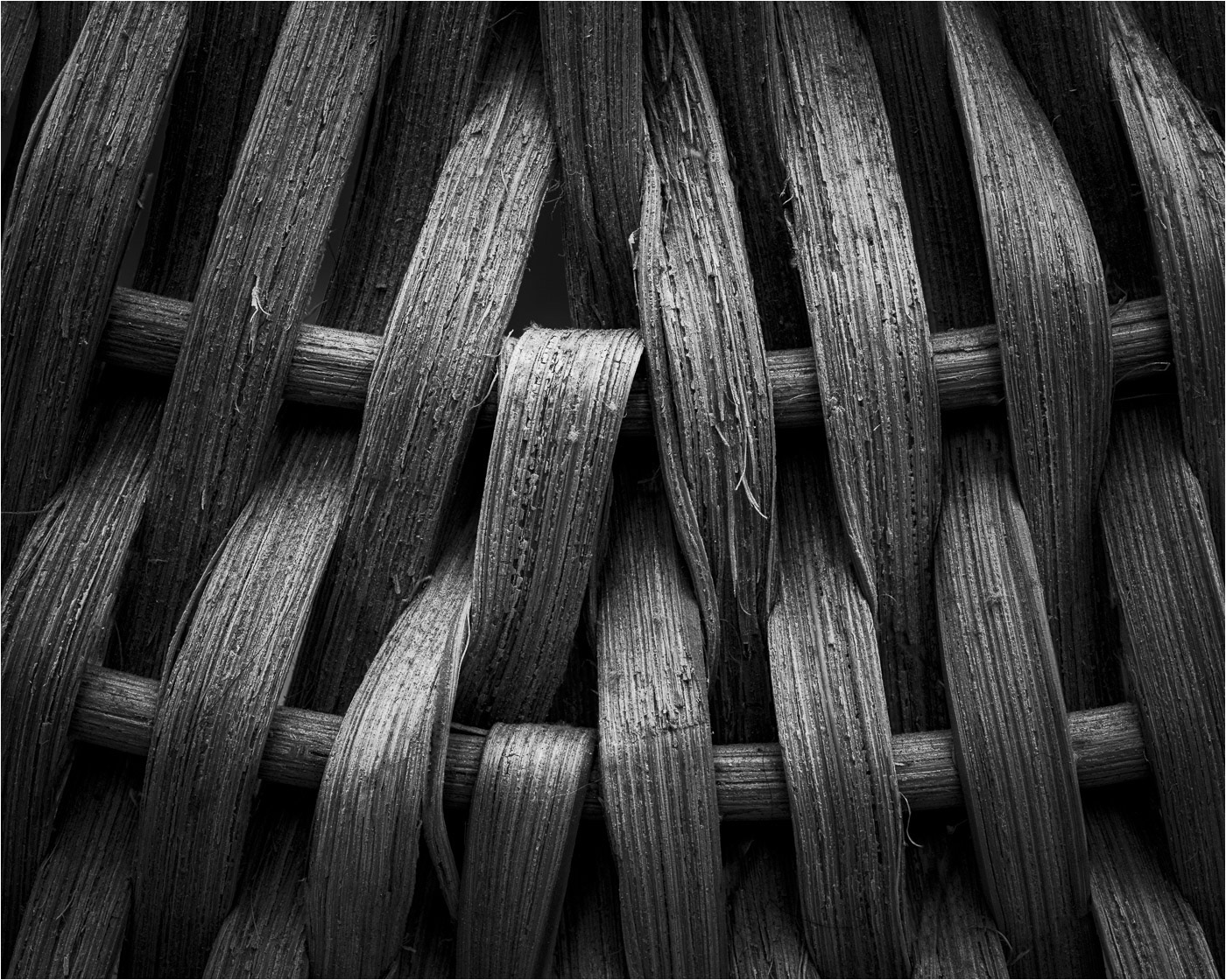 Basket by Bob Rickert