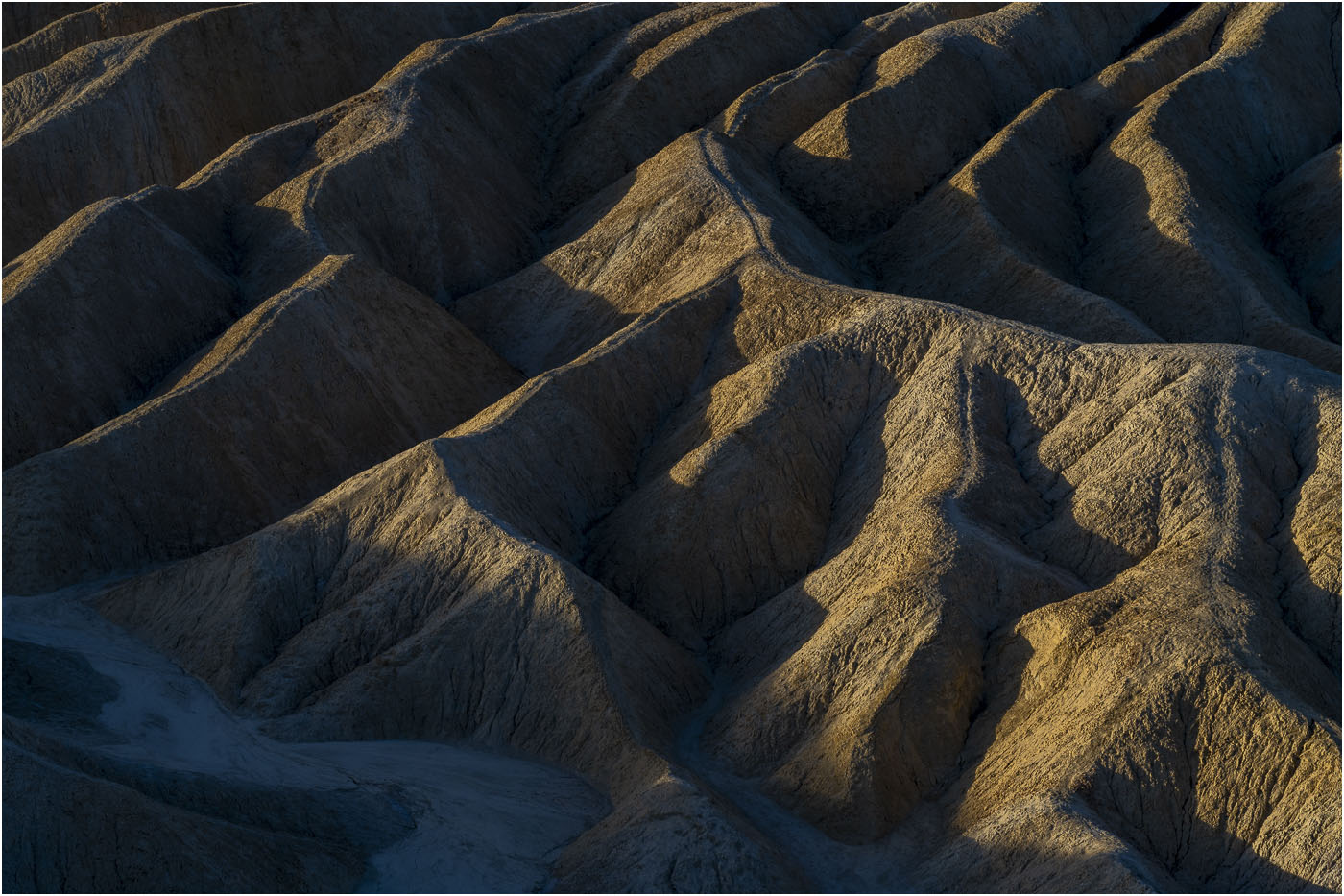 April 2026 - Bob Rickert