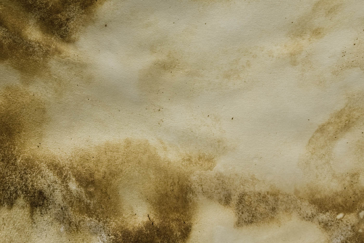 November 2025 - David Halgrimson, APSA