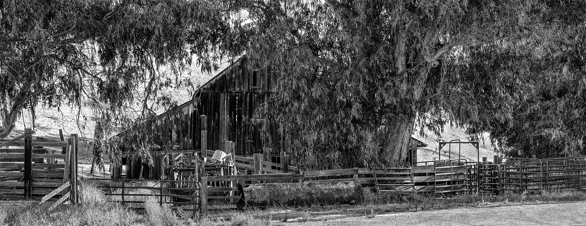 Old Barn at Brushy Peak by Mary Ann Carrasco