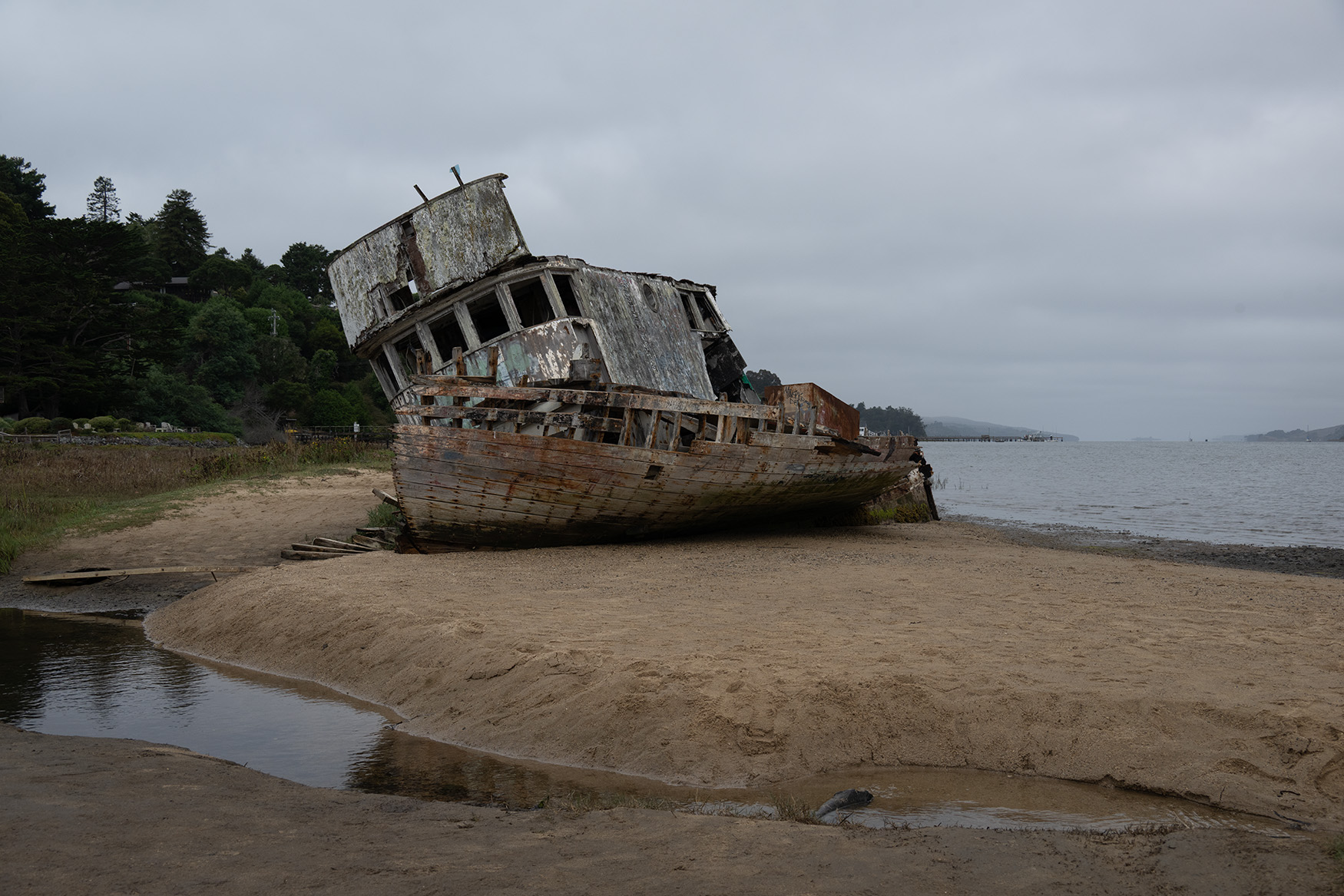 December 2025 - Mary Ann Carrasco