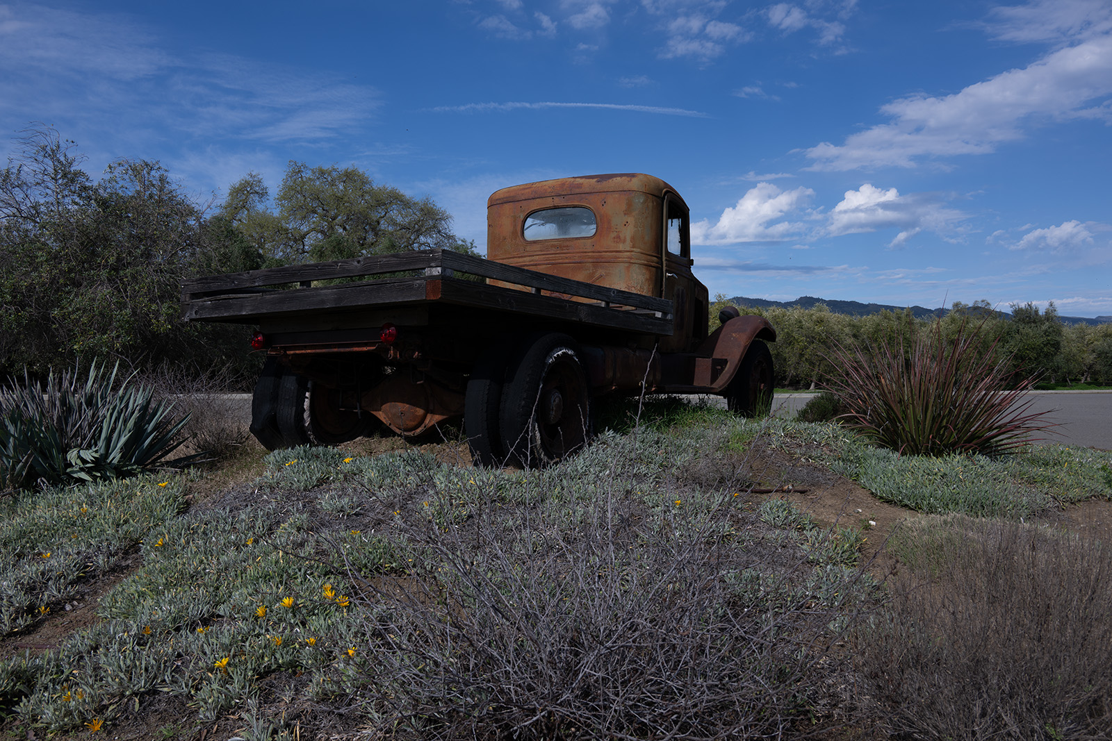 April 2026 - Mary Ann Carrasco