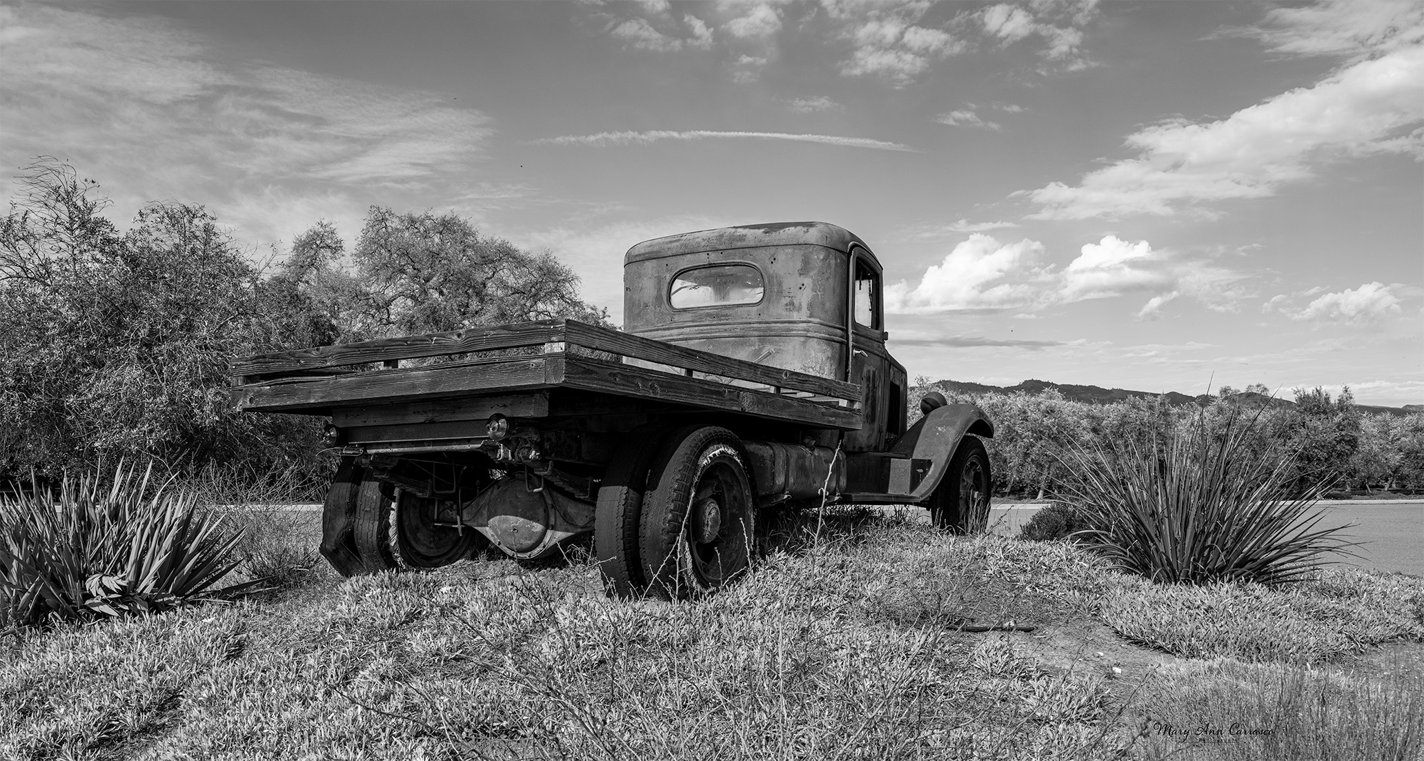 Old Truck by Mary Ann Carrasco