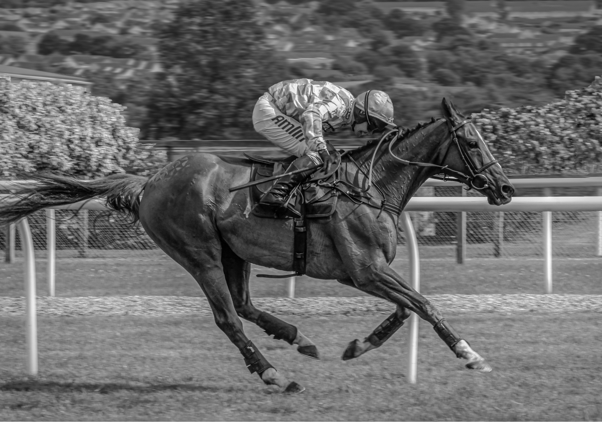 Racing for the Finishes by Paul Hoffman